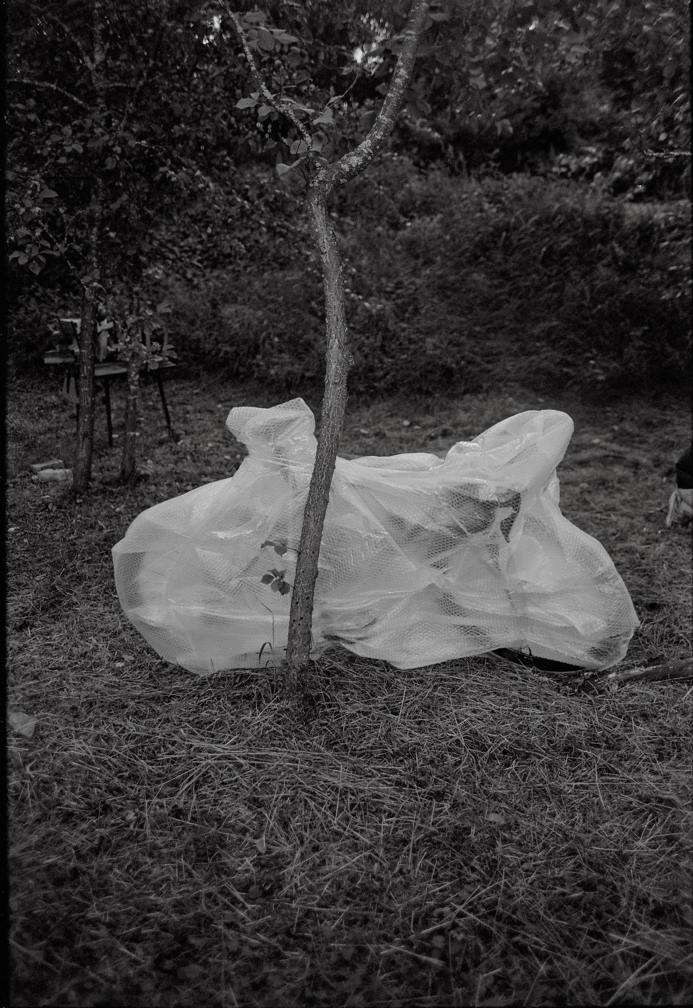 Велозаезд в Крутояк. Илья Симонов фотограф москва