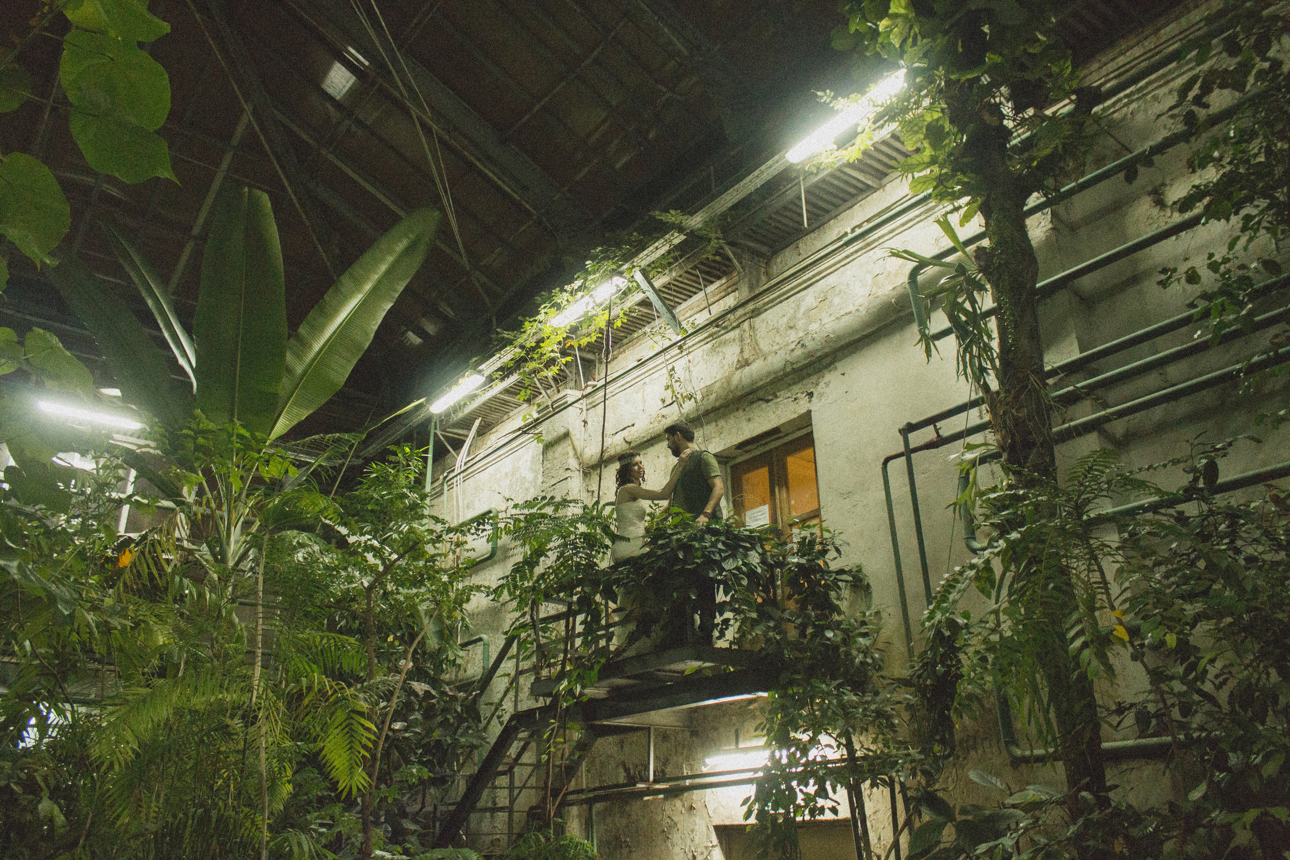 Wedding: Марат и Алёна. Фотограф и Видеограф в Москве Дарья Арсентьева