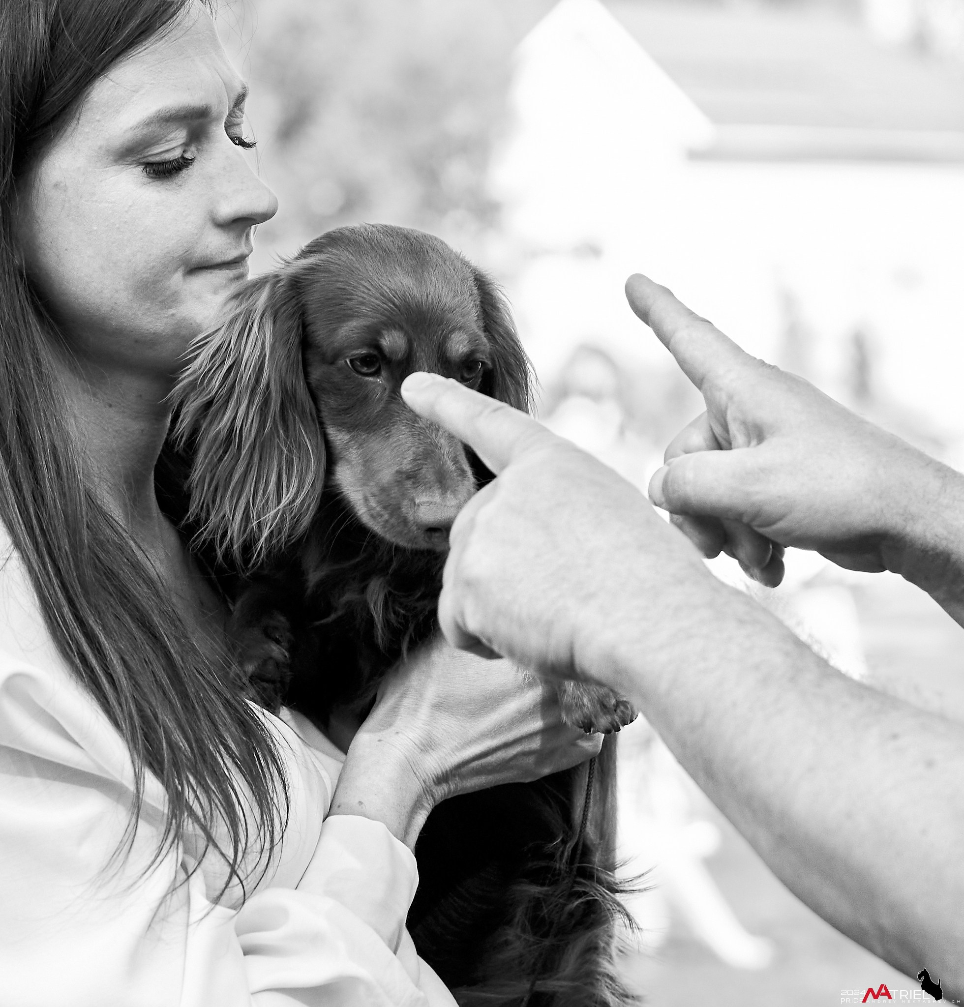 Съемка на выставке в Электросталь