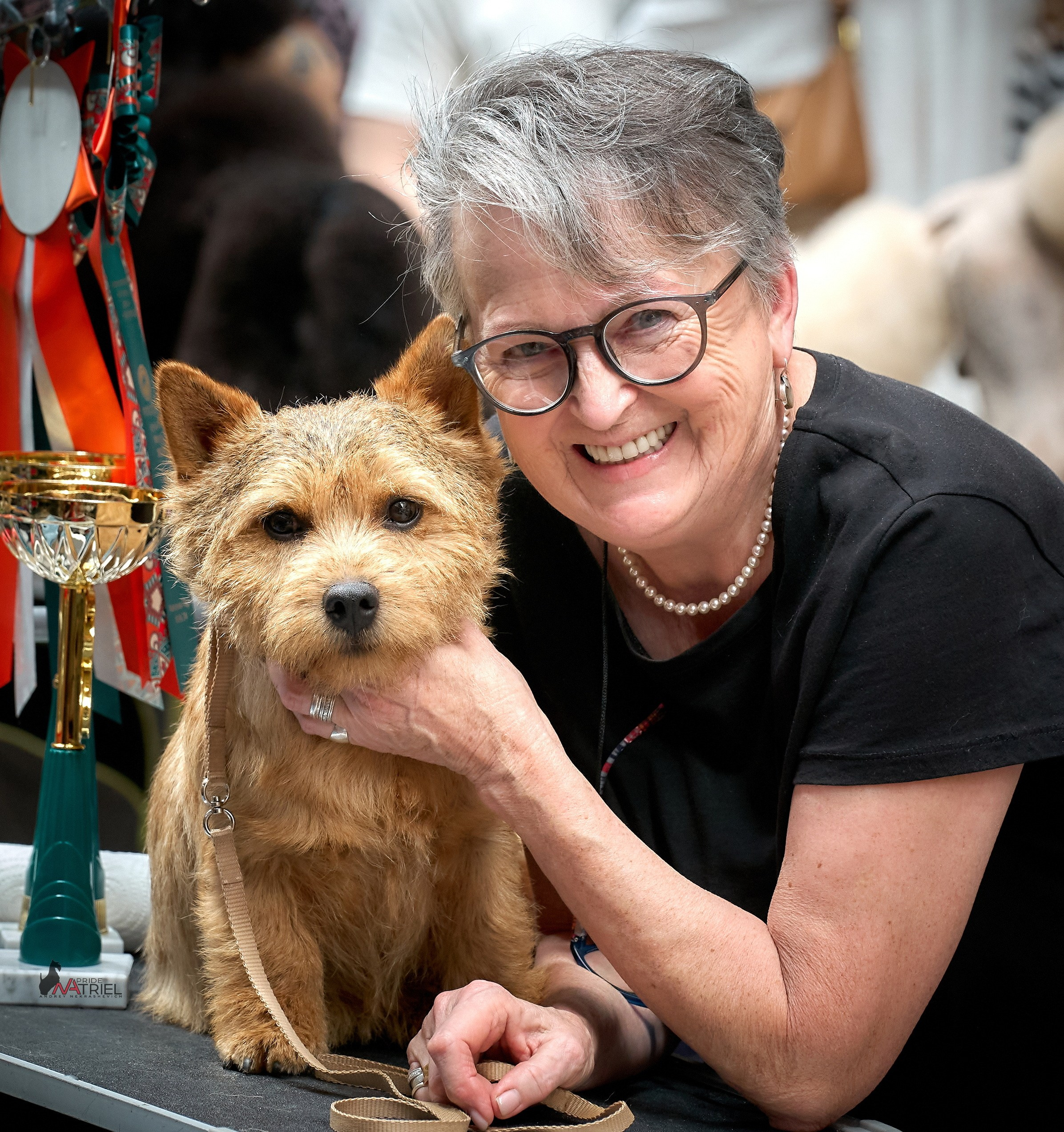 Картинки с выставки — галерея NATRIEL