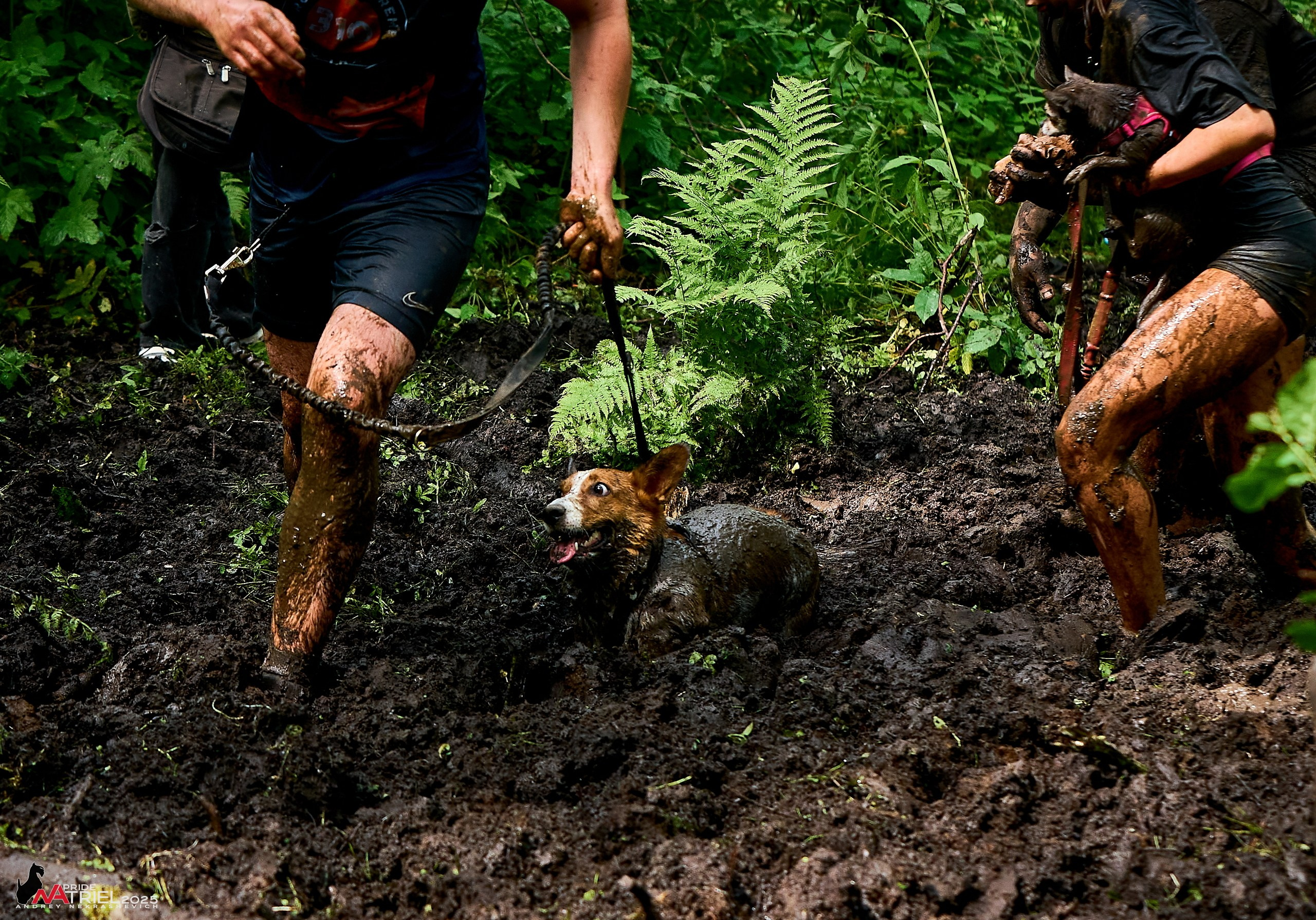 Russian Extreme Dog Trail — 2025