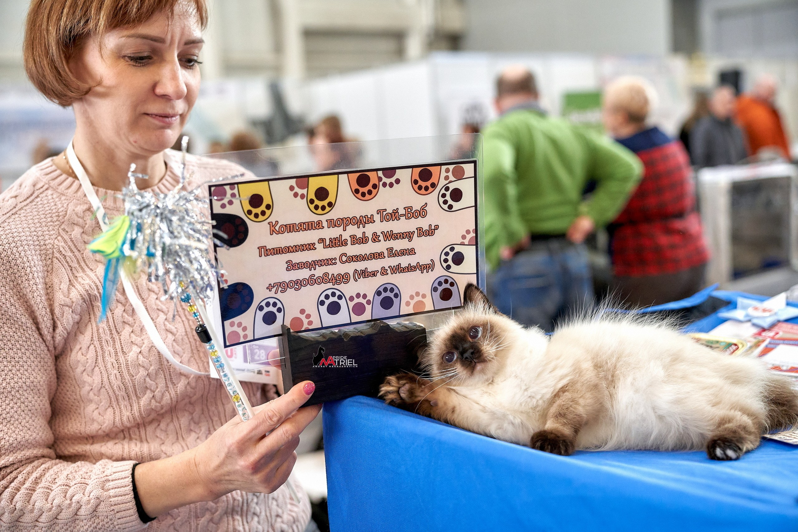 Выставки животных — галерея NATRIEL