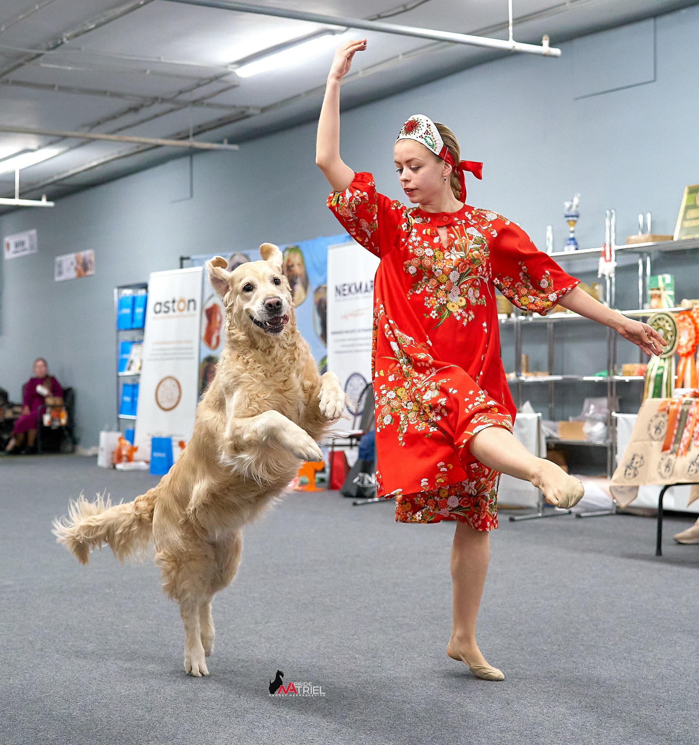 Обидиенс и танцы с собаками — галерея NATRIEL