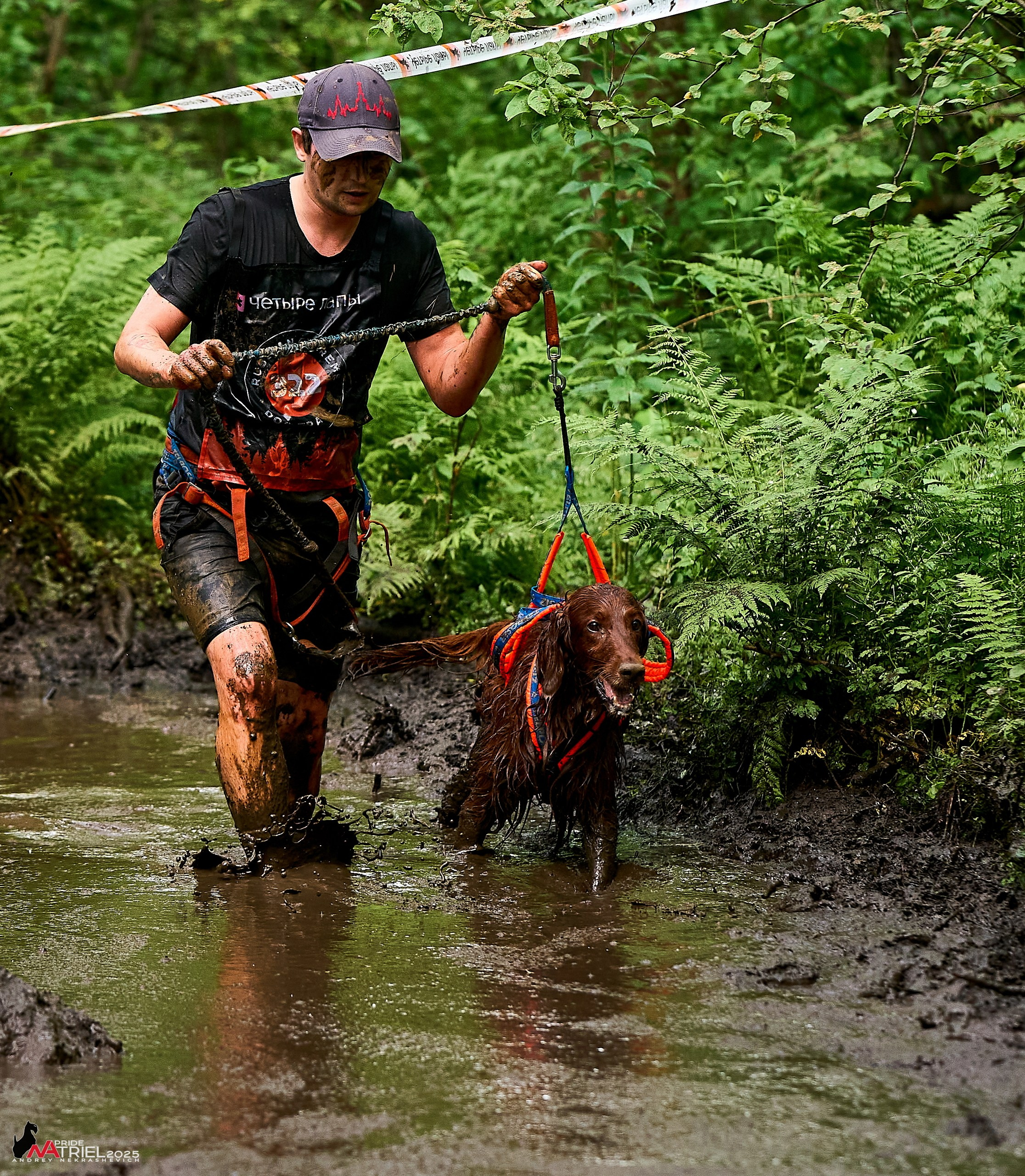 Russian Extreme Dog Trail — 2025