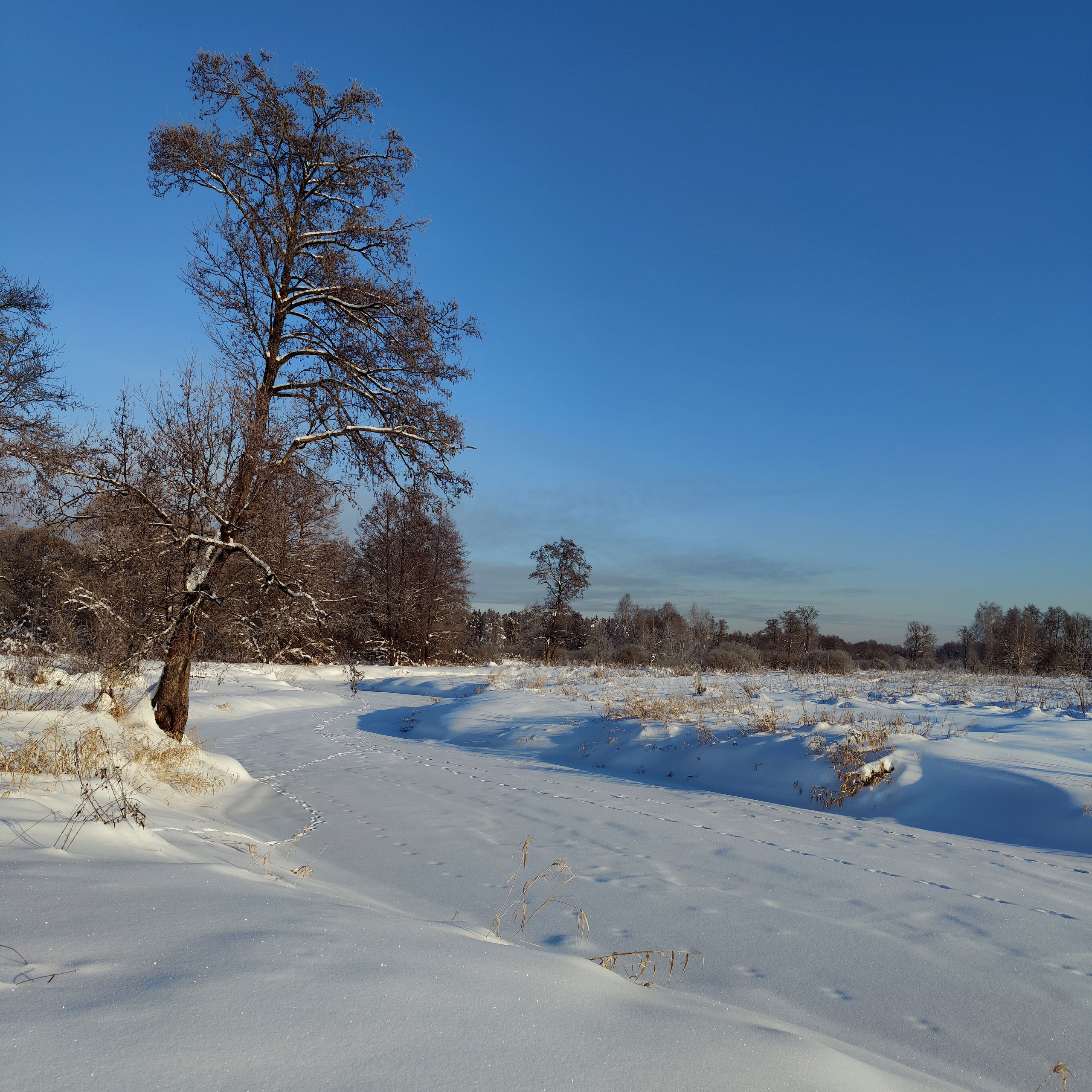 Съемка квадроциклов зимой в Подмосковье. Фотограф в походы