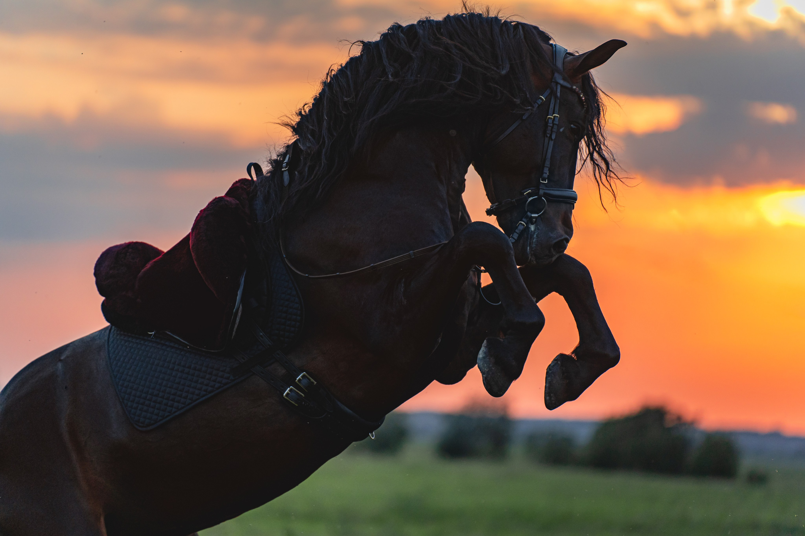 Экстерьер и спорт. Фотограф в Москве Ленарская Дарья