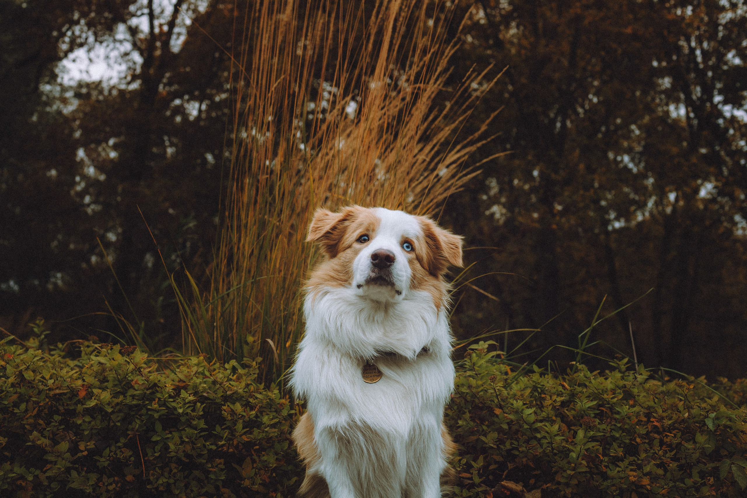 Алина, Витя и Асти