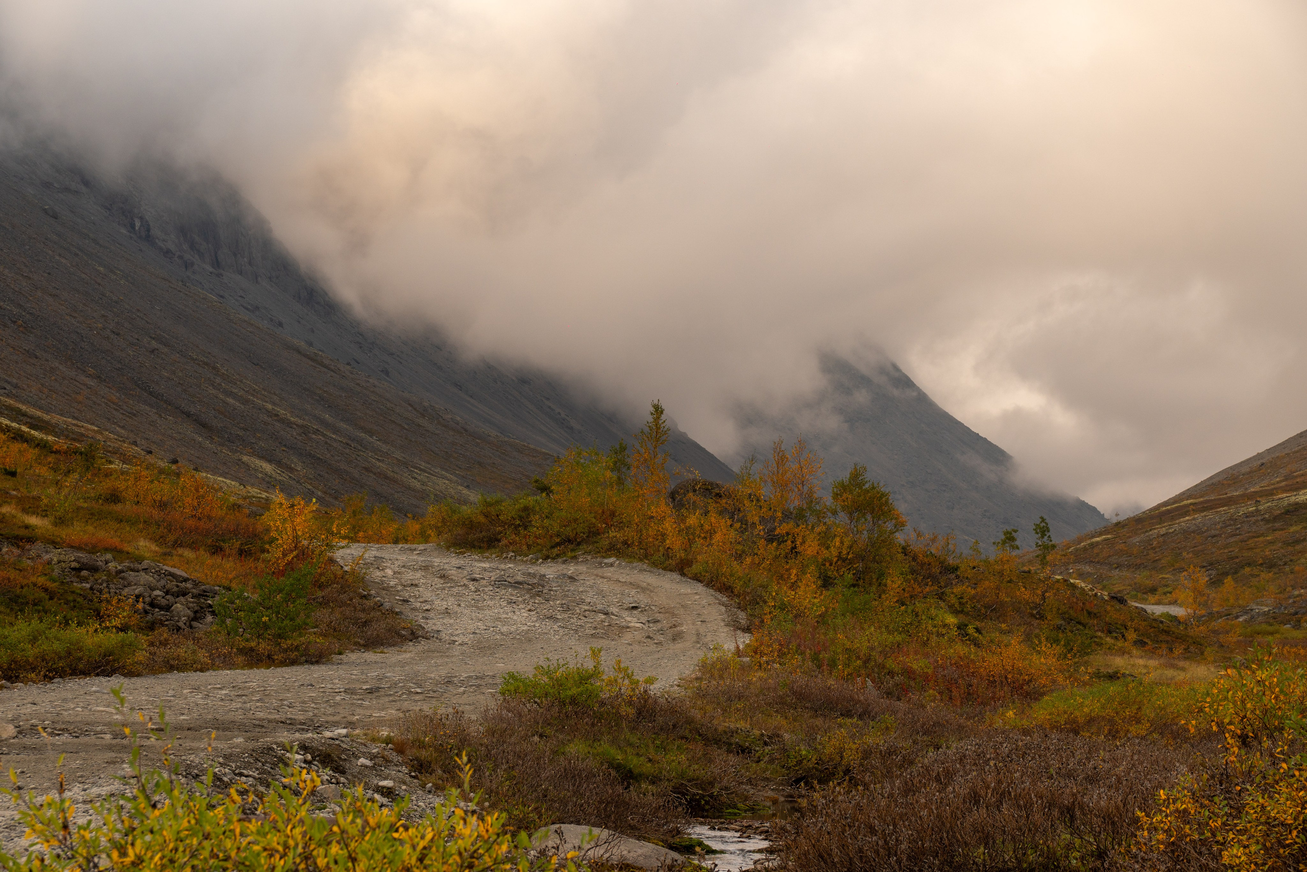 Золотая осень в Хибинах. Daria wanderer photography