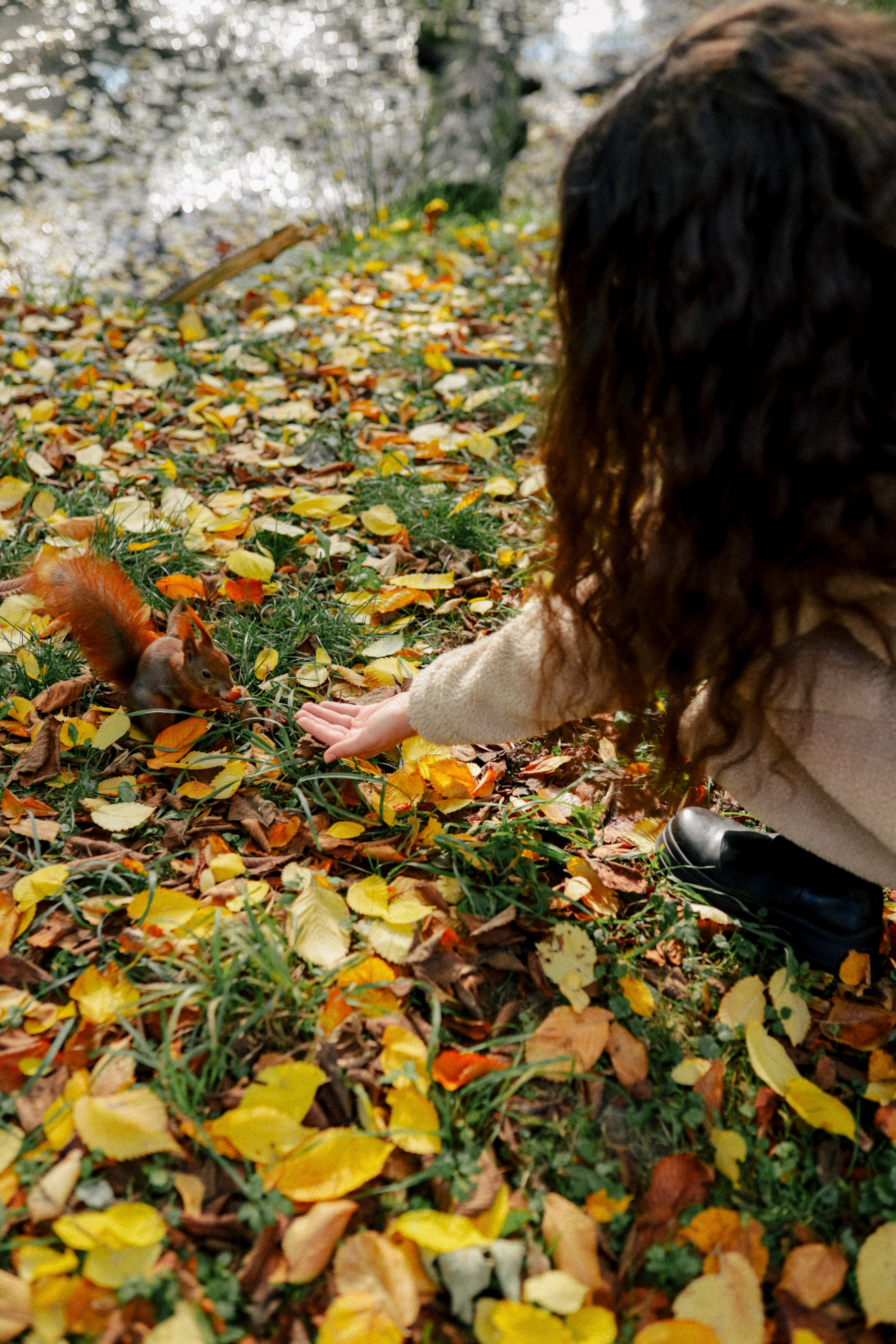 Осень в объятиях. Свадебный и семейный фотограф в Варшаве