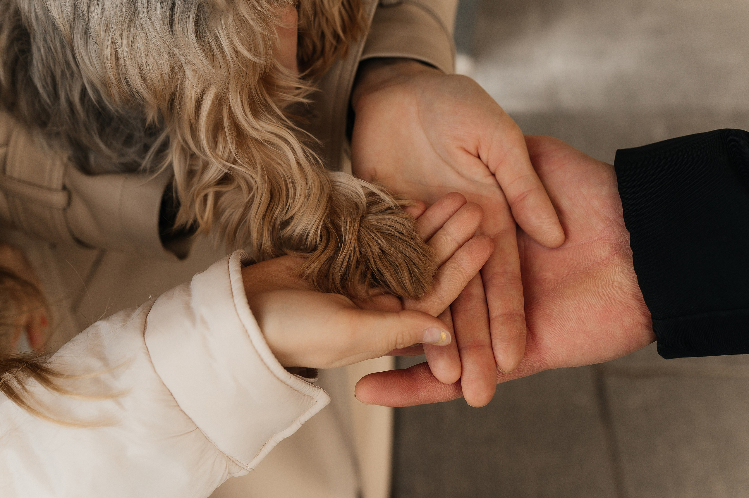 Ваня, Люда, Кристина и Дея. Фотограф Виктория Грибова г. Вологда
