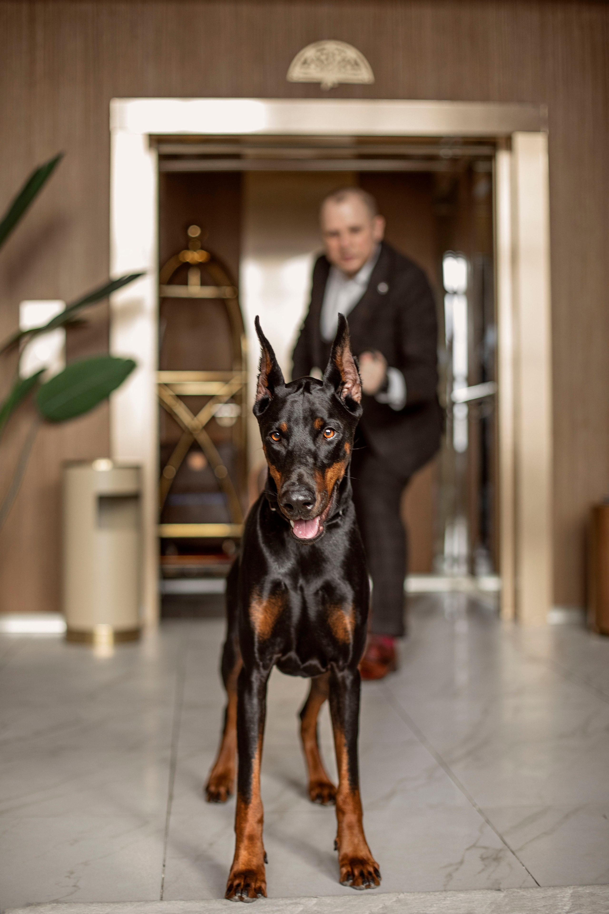 Мужской фотограф Москва, мужская фотосессия Москва, мужской портрет, мужской фотограф Ольга Майорникова, мужской стиль, фотосессия для мужчин, бизнес фотограф, бизнес фотограф Москва, съемка в студии для мужчин, мужской фотограф