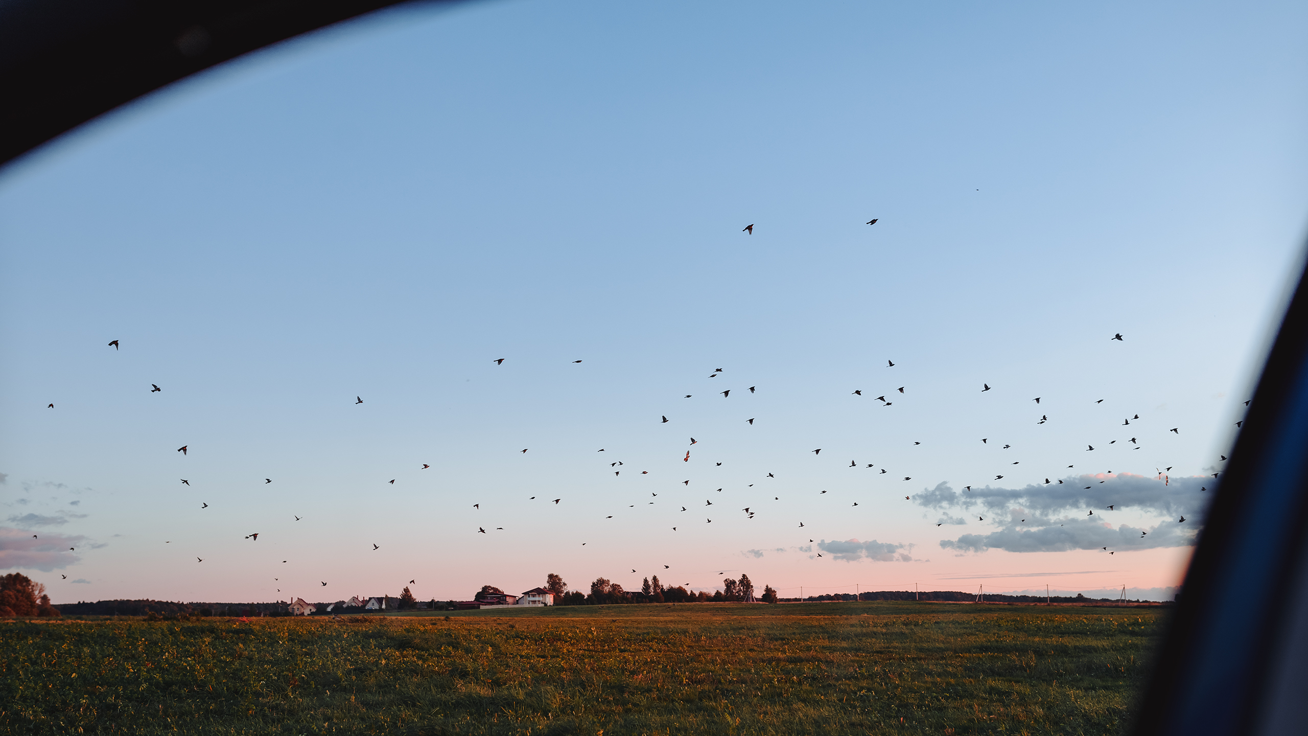 Небо видело всё. Komonev