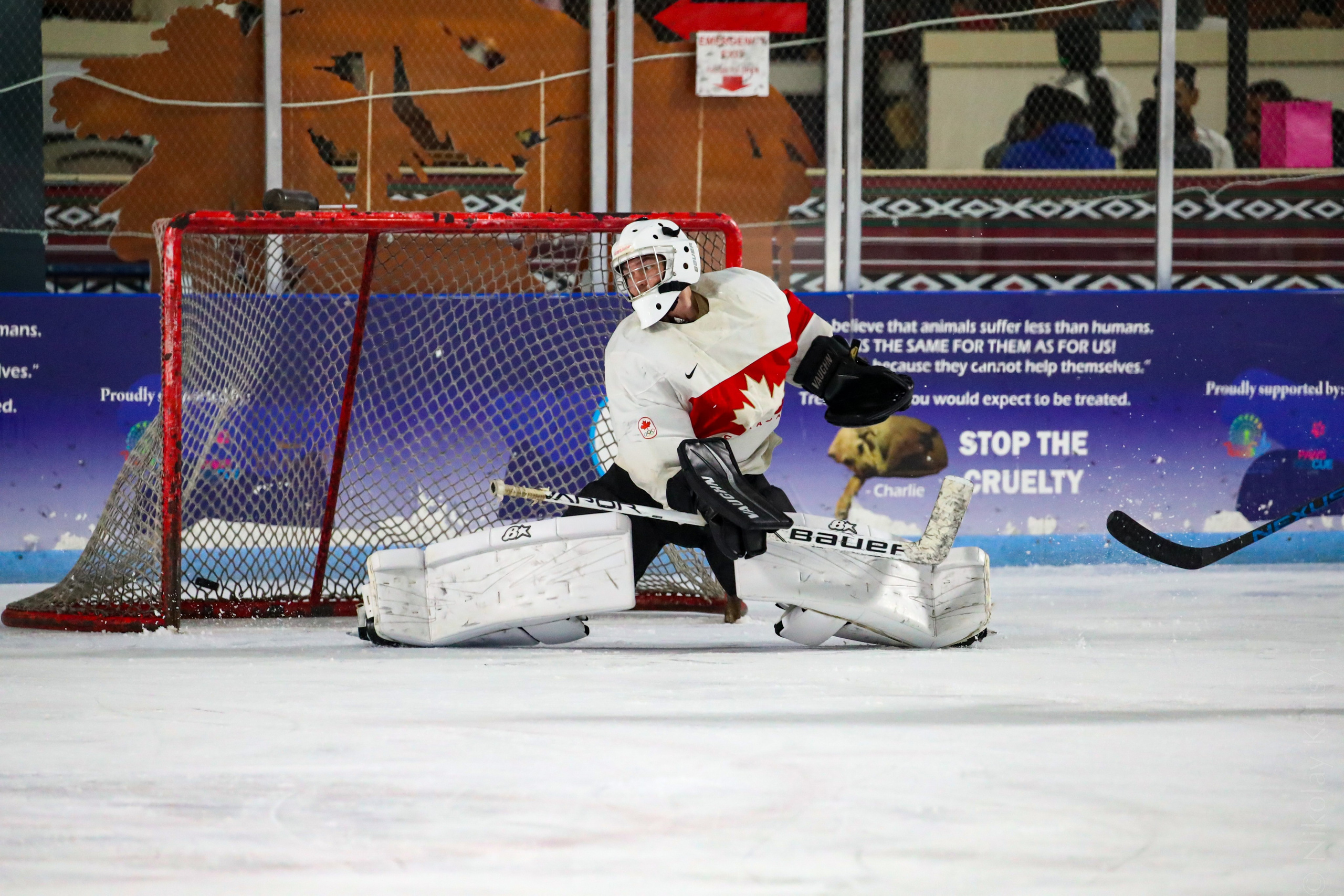Хоккей. Фотограф в Москве портреты | репортажи | спорт