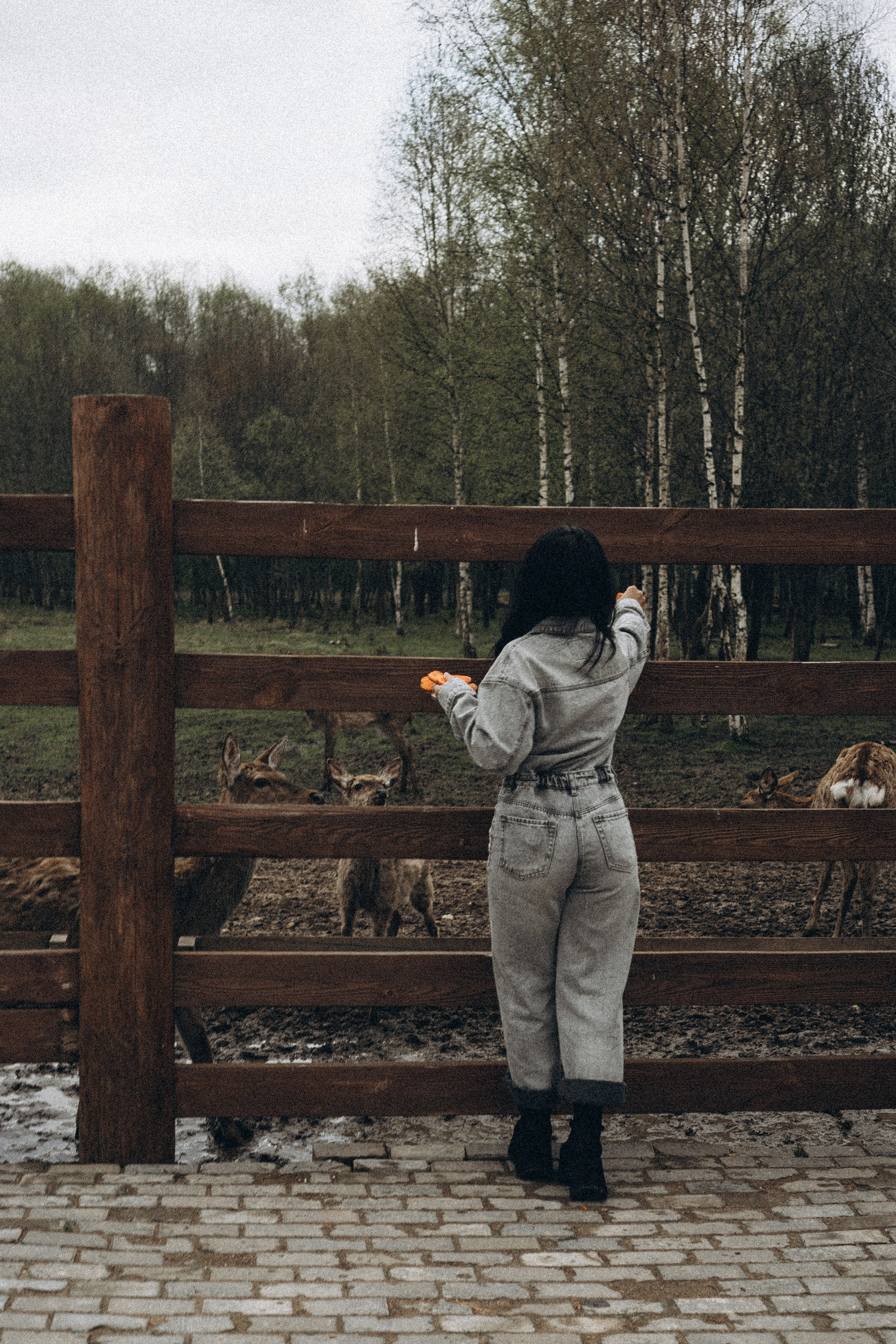 ОЛЕНЬЯ ФЕРМА В ТВЕРИ. Профессиональный фотограф, Санкт-Петербург — Виктория Богомолова