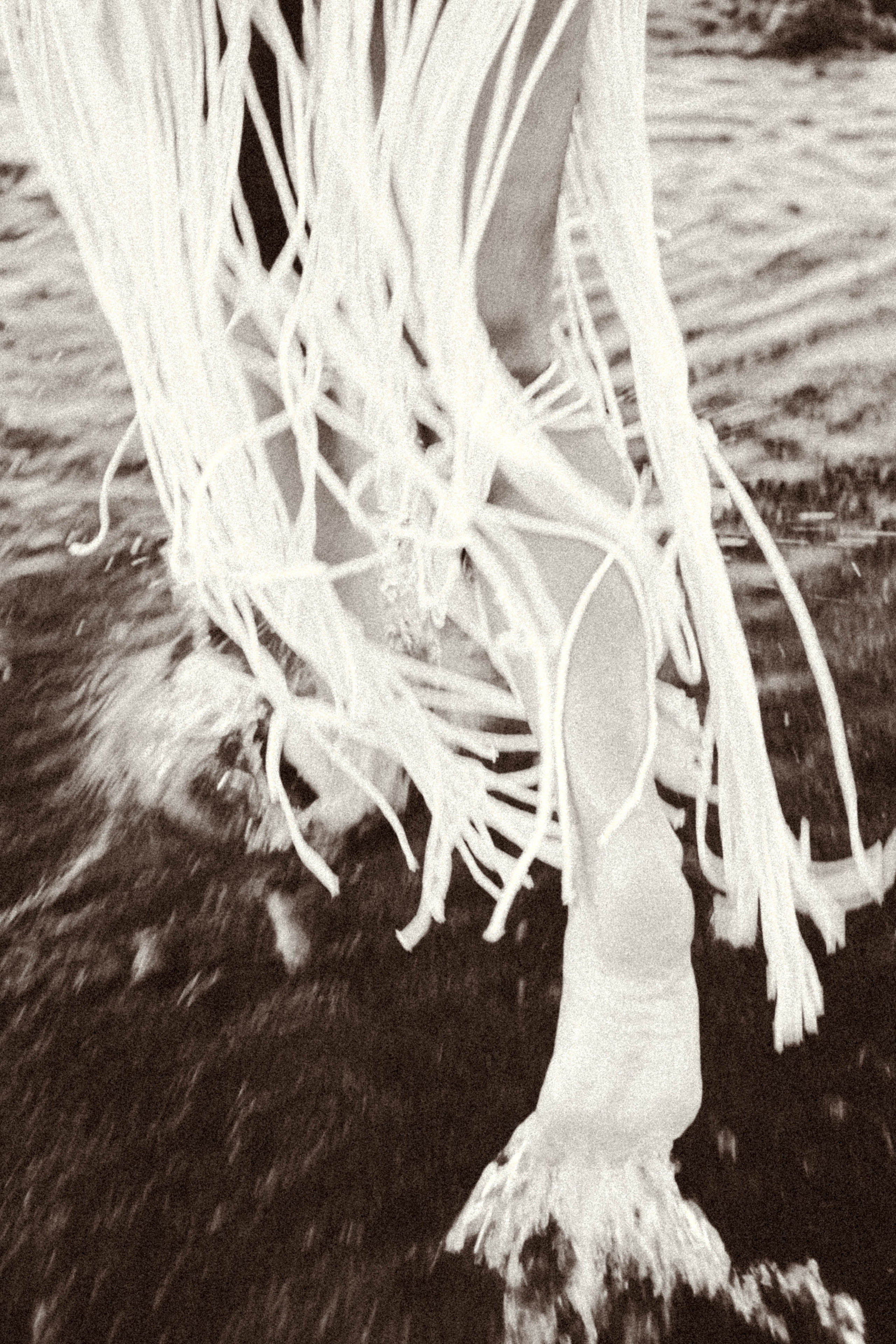 Рассвет. Профессиональный фотограф, Санкт-Петербург — Виктория Богомолова