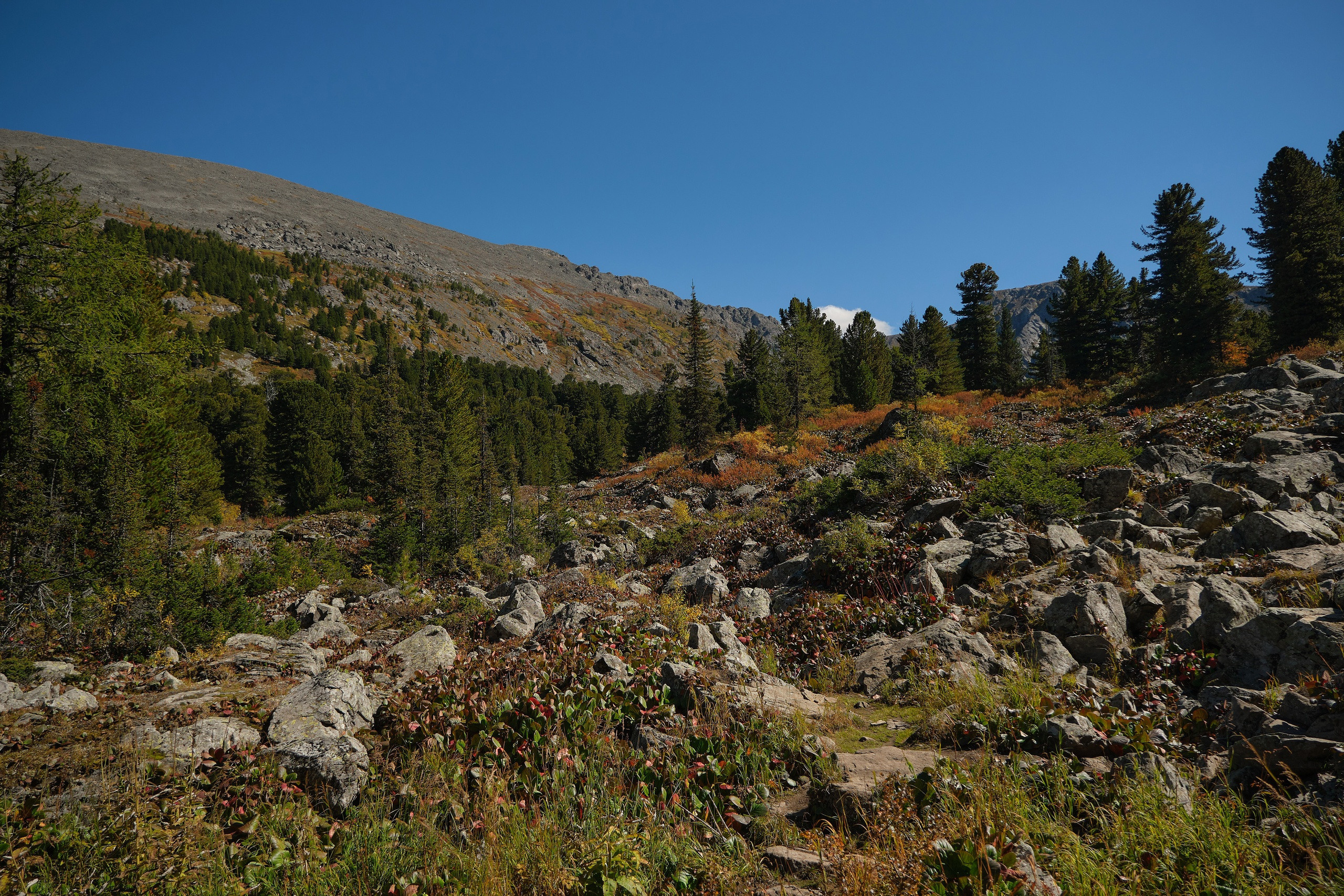 Пейзажный фотограф в Горном Алтае: съёмки природы и гор. Фотограф Опыт Качество Скорость Горный Алтай Барнаул