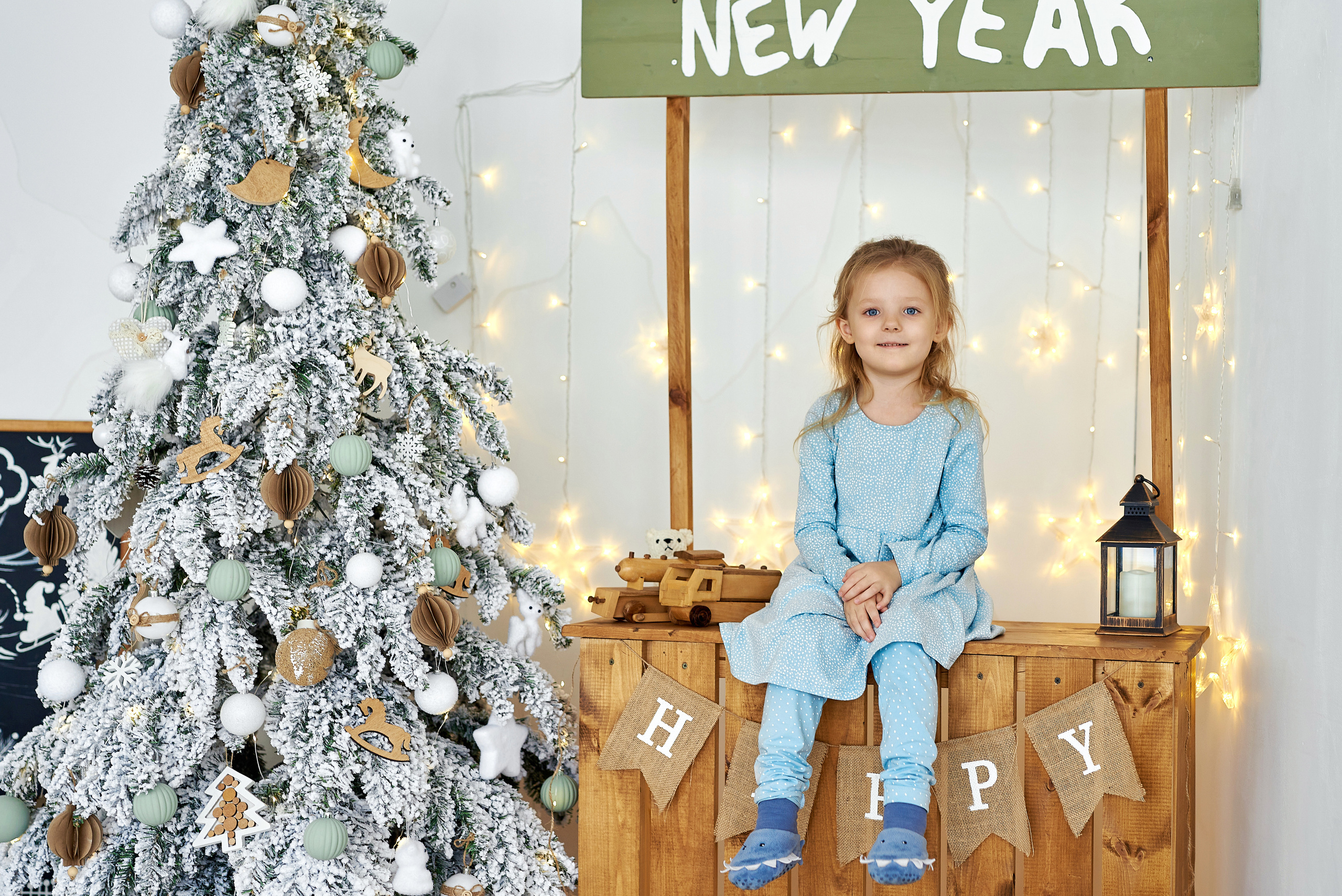 Алиса и семья. Новый год. Фотограф Опыт Качество Скорость Горный Алтай Барнаул