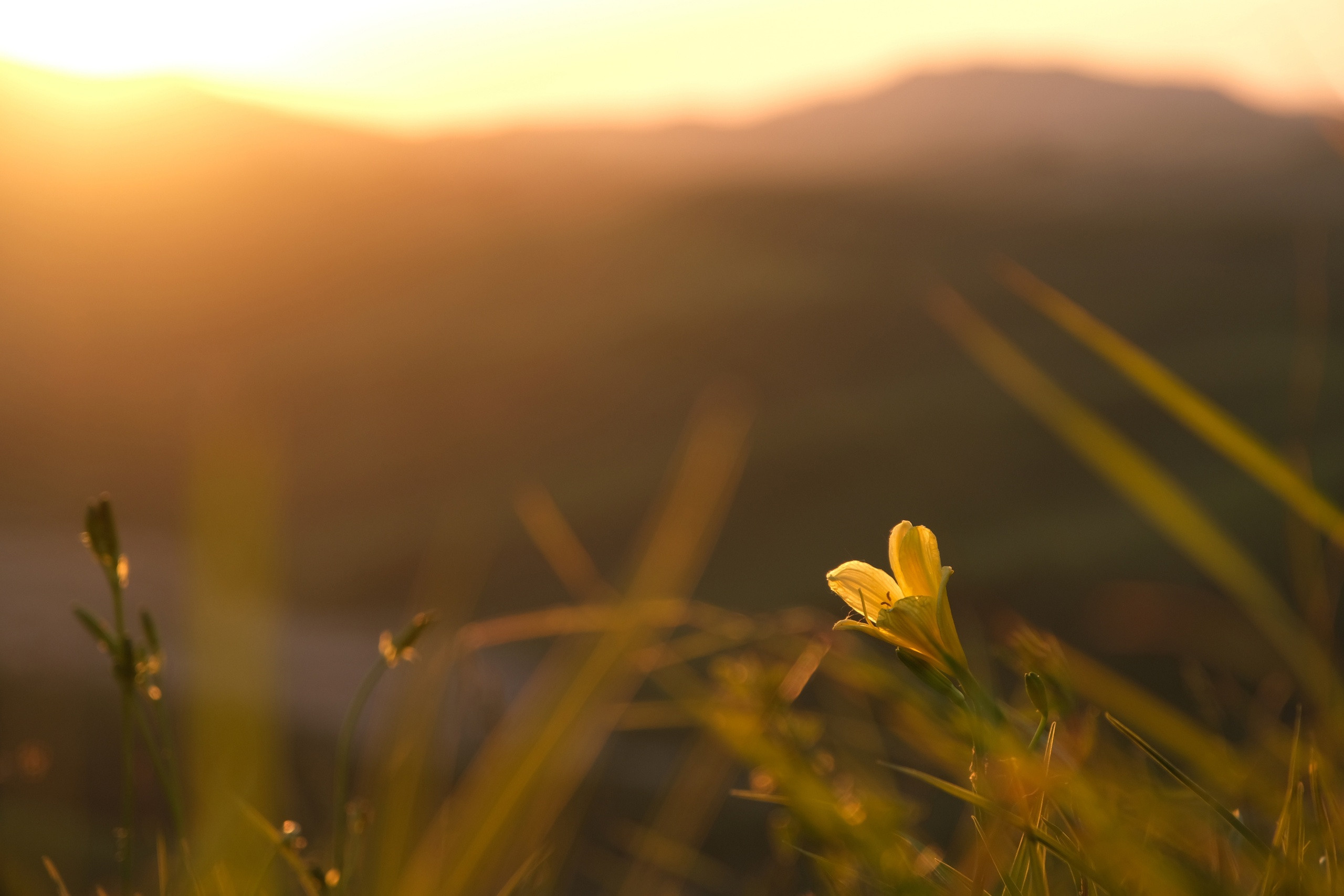 Пейзажный фотограф в Горном Алтае: съёмки природы и гор. Фотограф Опыт Качество Скорость Горный Алтай Барнаул