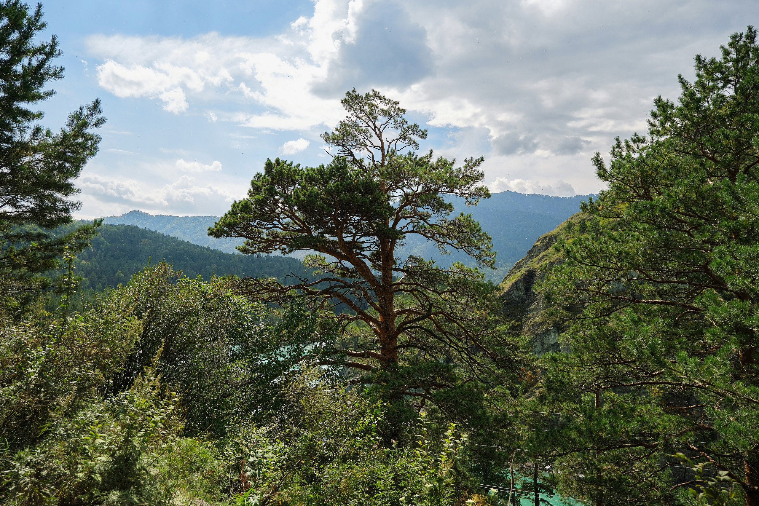 Пейзажный фотограф в Горном Алтае: съёмки природы и гор. Фотограф Опыт Качество Скорость Горный Алтай Барнаул