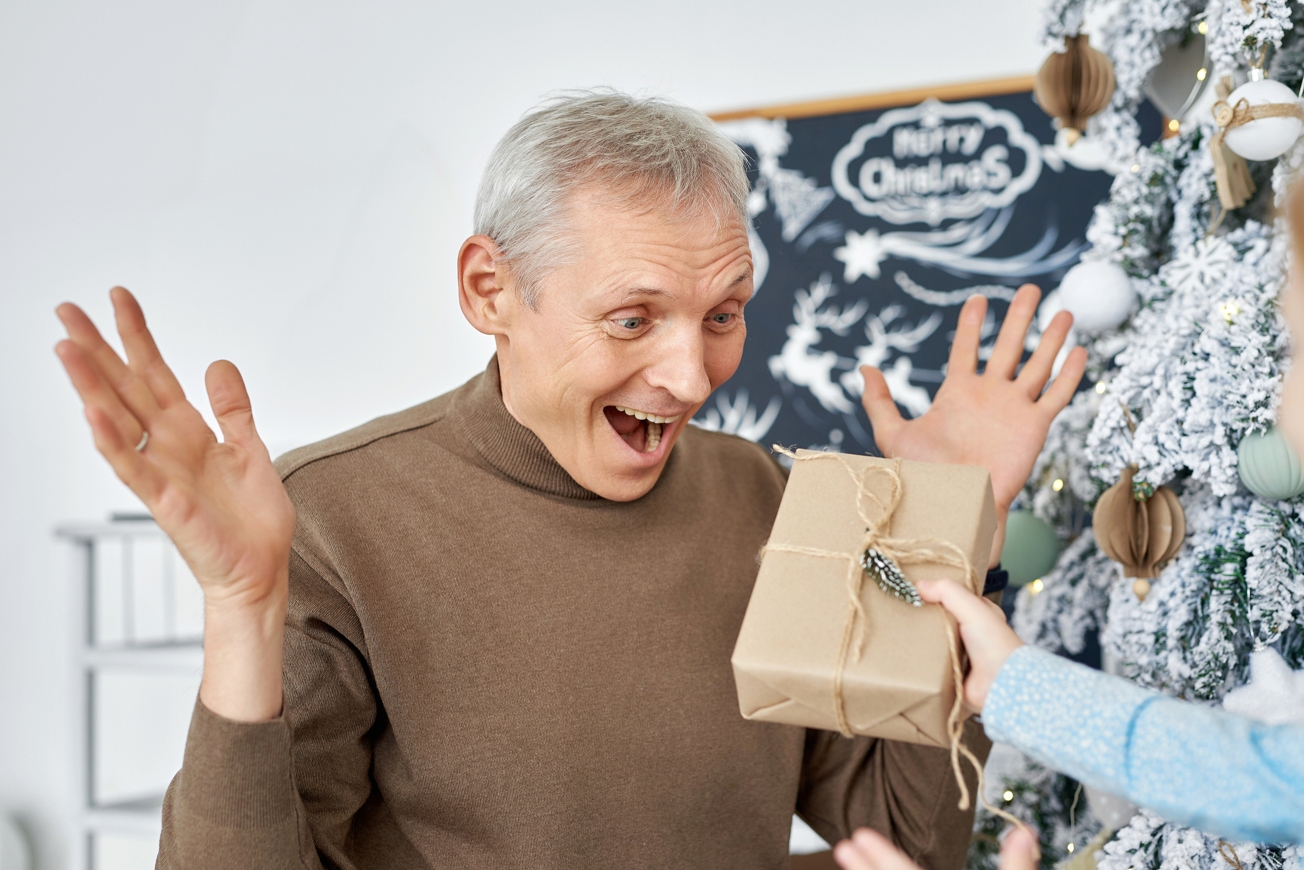 Алиса и семья. Новый год. Фотограф Опыт Качество Скорость Горный Алтай Барнаул