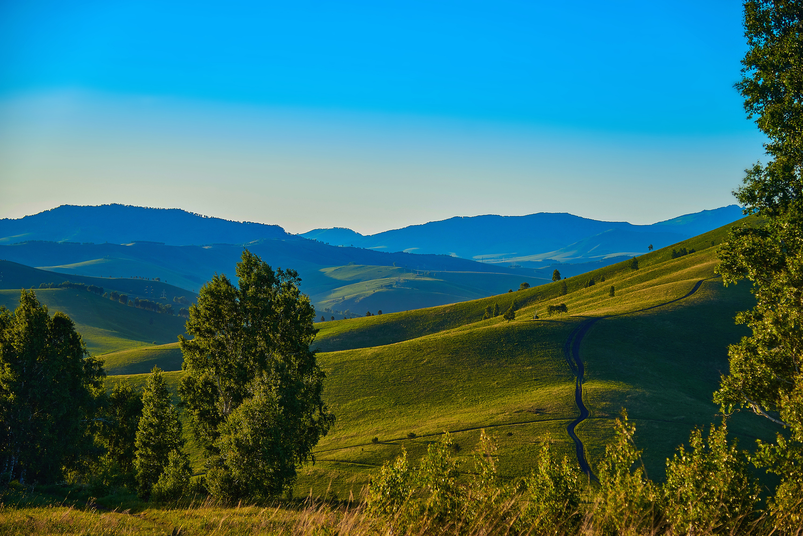 Олимп. Туристическая база. Фото для сайта. Фотограф Опыт Качество Скорость Горный Алтай Барнаул