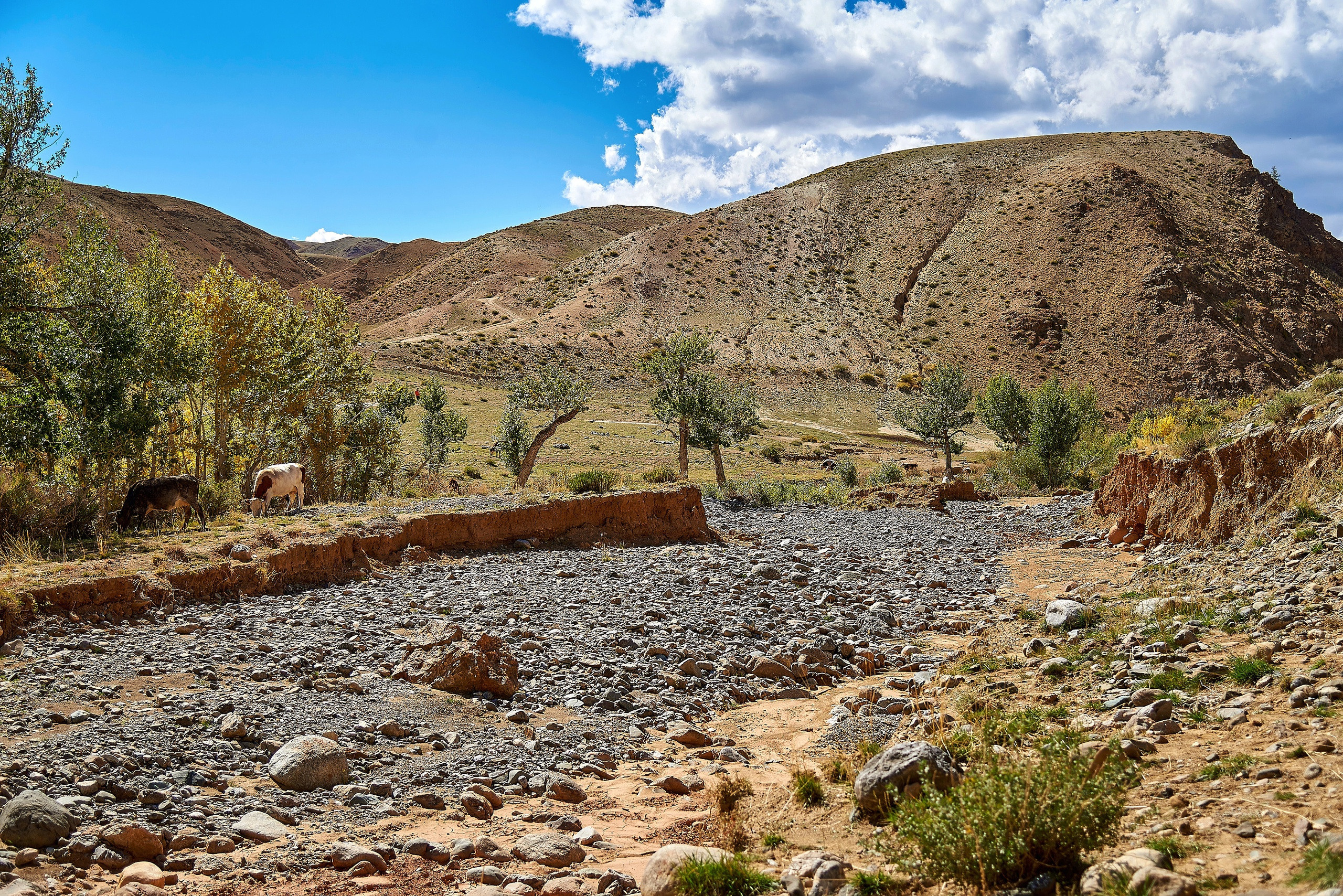 Пейзажный фотограф в Горном Алтае: съёмки природы и гор. Фотограф Опыт Качество Скорость Горный Алтай Барнаул