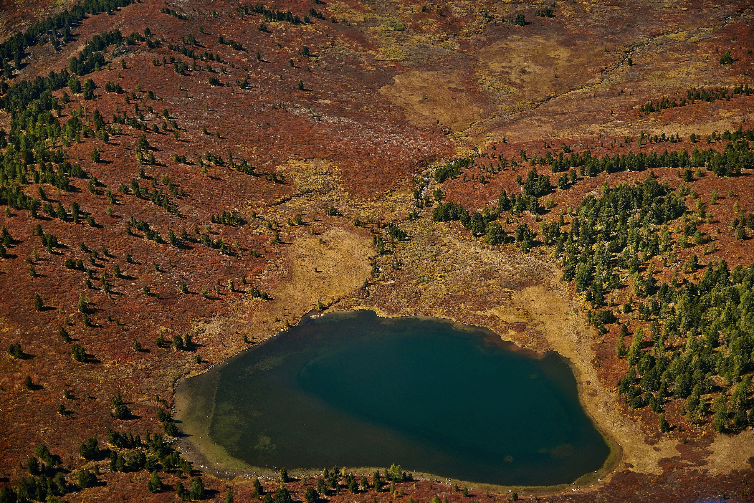 Пейзажный фотограф в Горном Алтае: съёмки природы и гор. Фотограф Опыт Качество Скорость Горный Алтай Барнаул