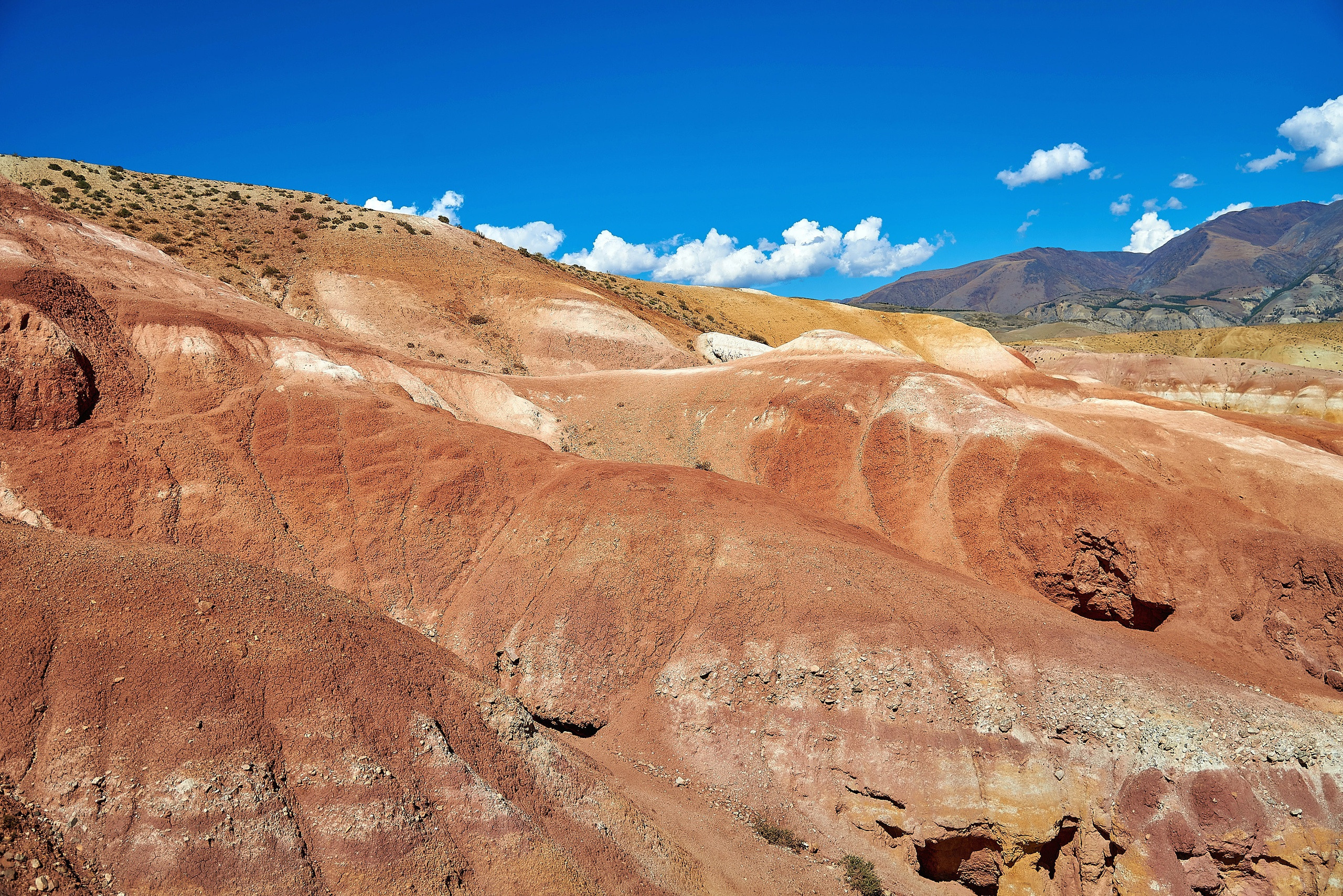 Пейзажный фотограф в Горном Алтае: съёмки природы и гор. Фотограф Опыт Качество Скорость Горный Алтай Барнаул