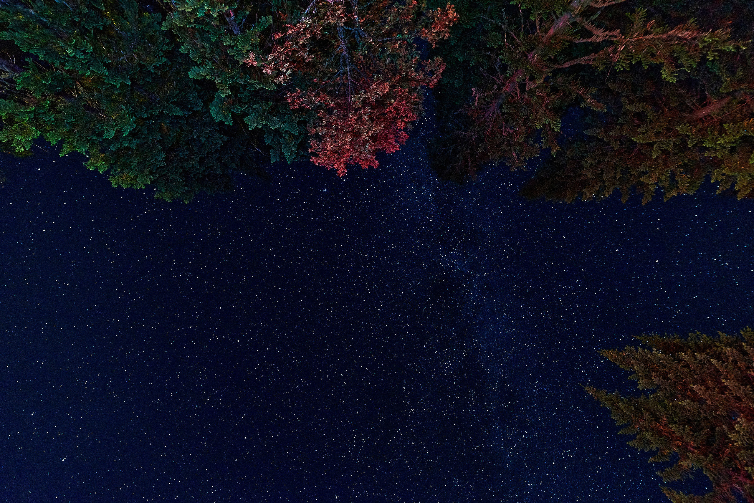 Пейзажный фотограф в Горном Алтае: съёмки природы и гор. Фотограф Опыт Качество Скорость Горный Алтай Барнаул