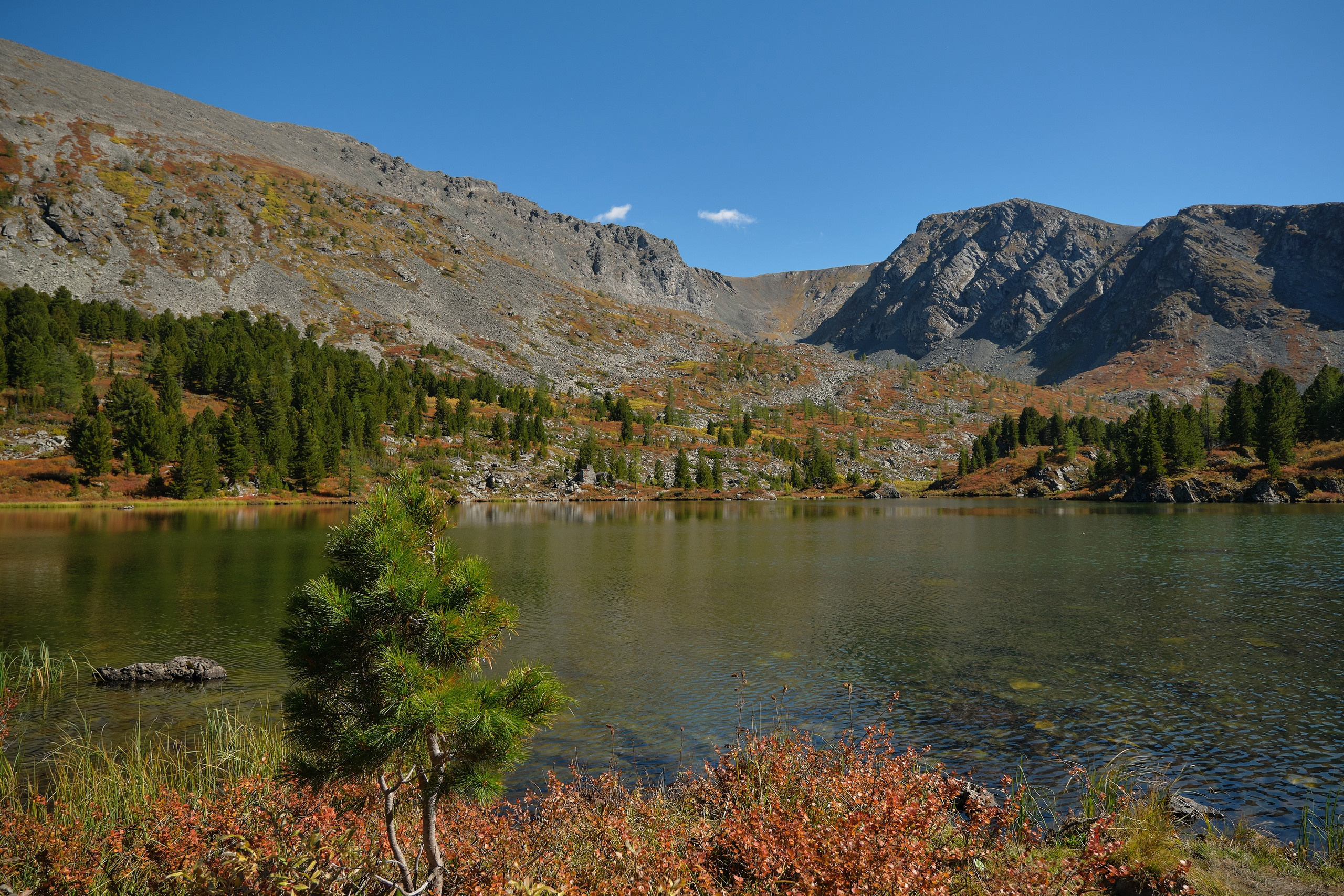 Пейзажный фотограф в Горном Алтае: съёмки природы и гор. Фотограф Опыт Качество Скорость Горный Алтай Барнаул