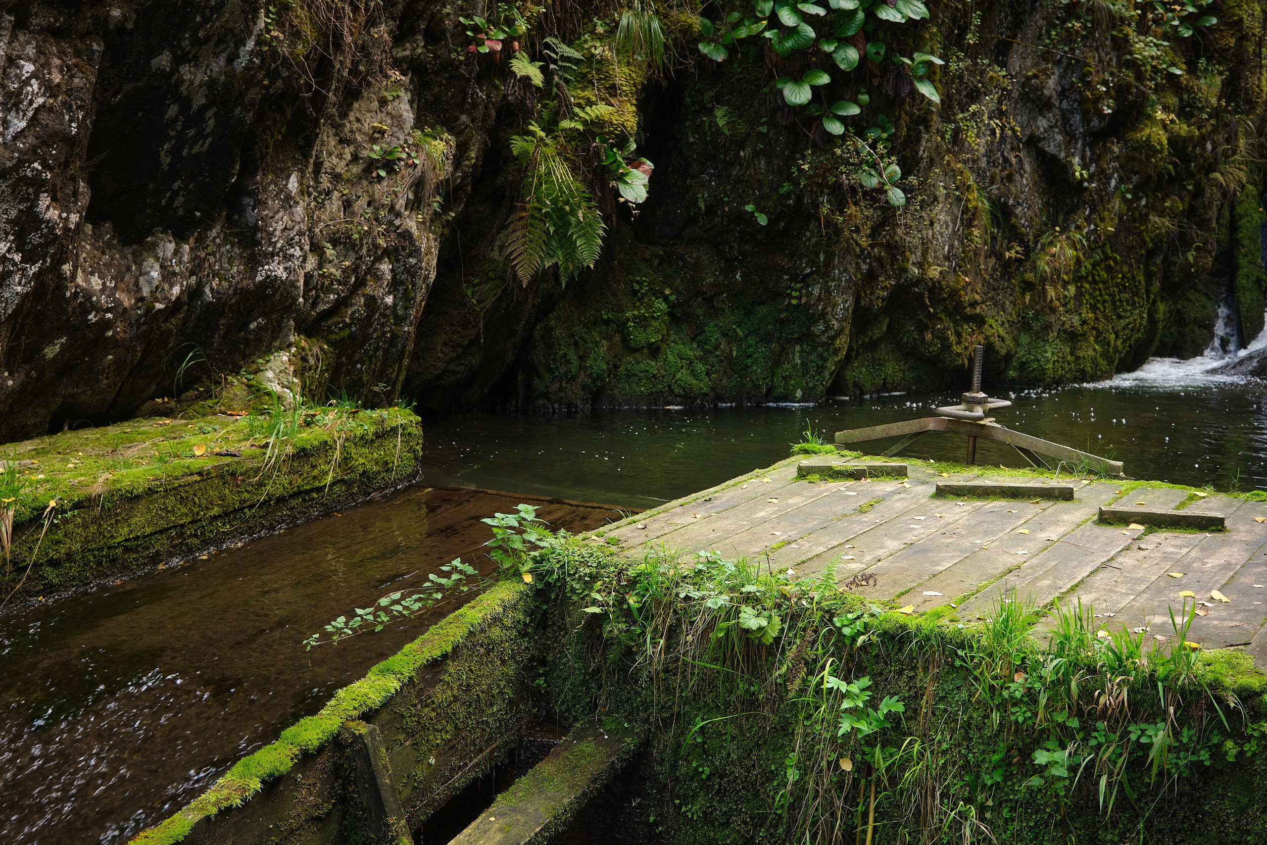 Пейзажный фотограф в Горном Алтае: съёмки природы и гор. Фотограф Опыт Качество Скорость Горный Алтай Барнаул