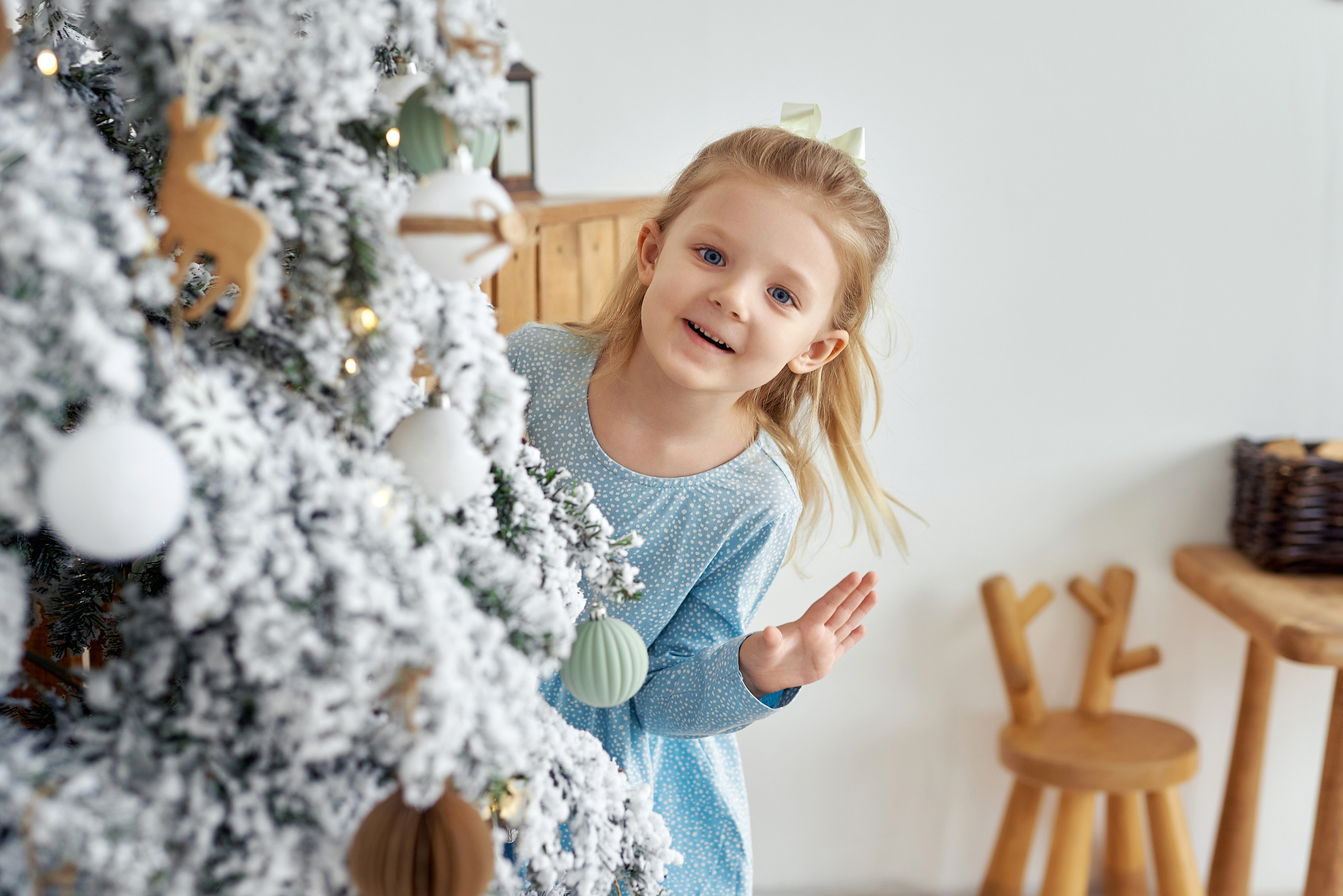 Алиса и семья. Новый год. Фотограф Опыт Качество Скорость Горный Алтай Барнаул