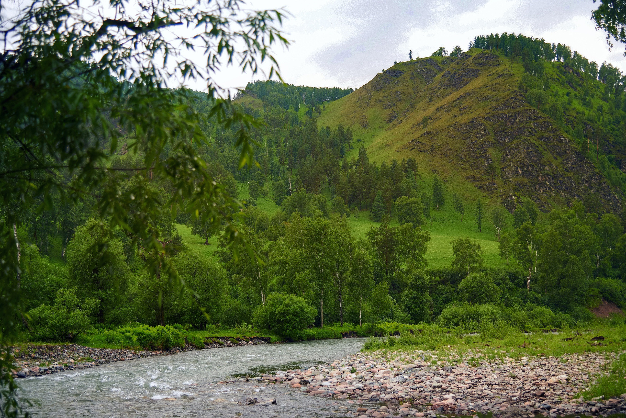 Пейзажный фотограф в Горном Алтае: съёмки природы и гор. Фотограф Опыт Качество Скорость Горный Алтай Барнаул