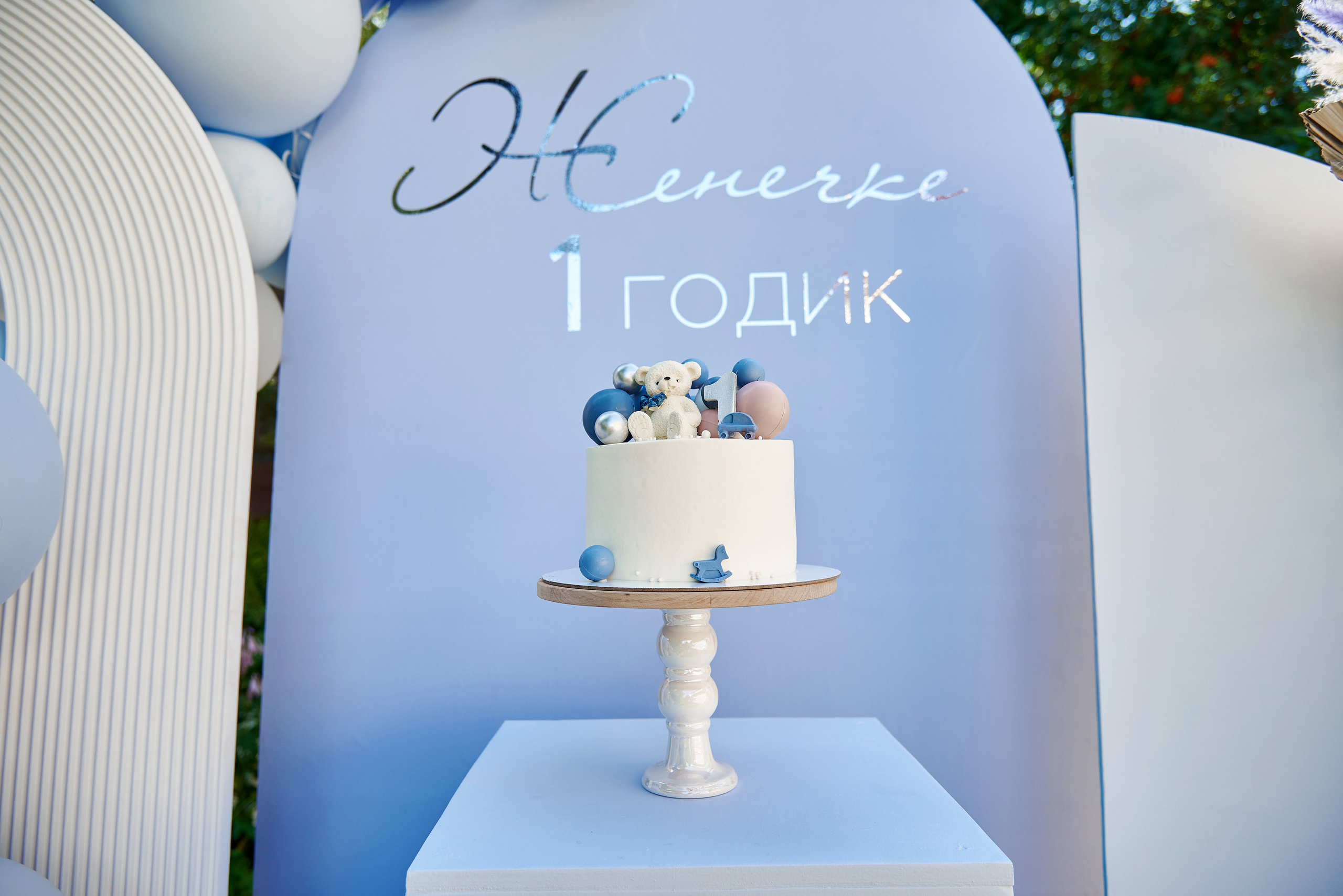 Евгений 1 годик. Фотограф Опыт Качество Скорость Горный Алтай Барнаул