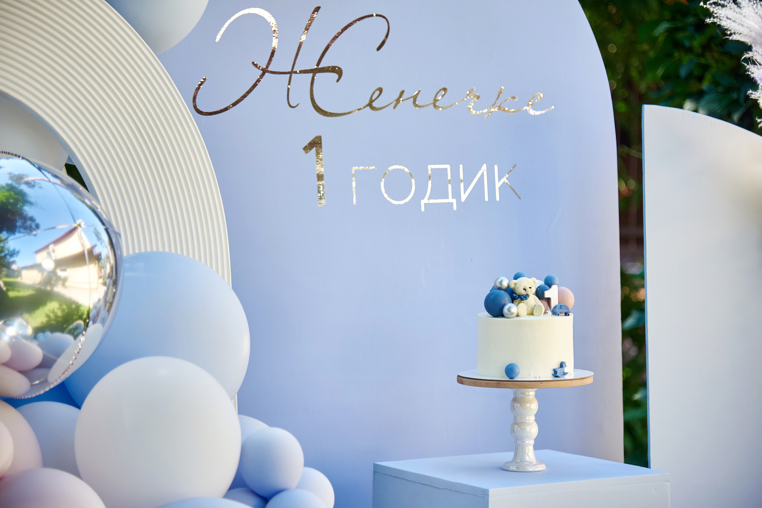 Евгений 1 годик. Фотограф Опыт Качество Скорость Горный Алтай Барнаул