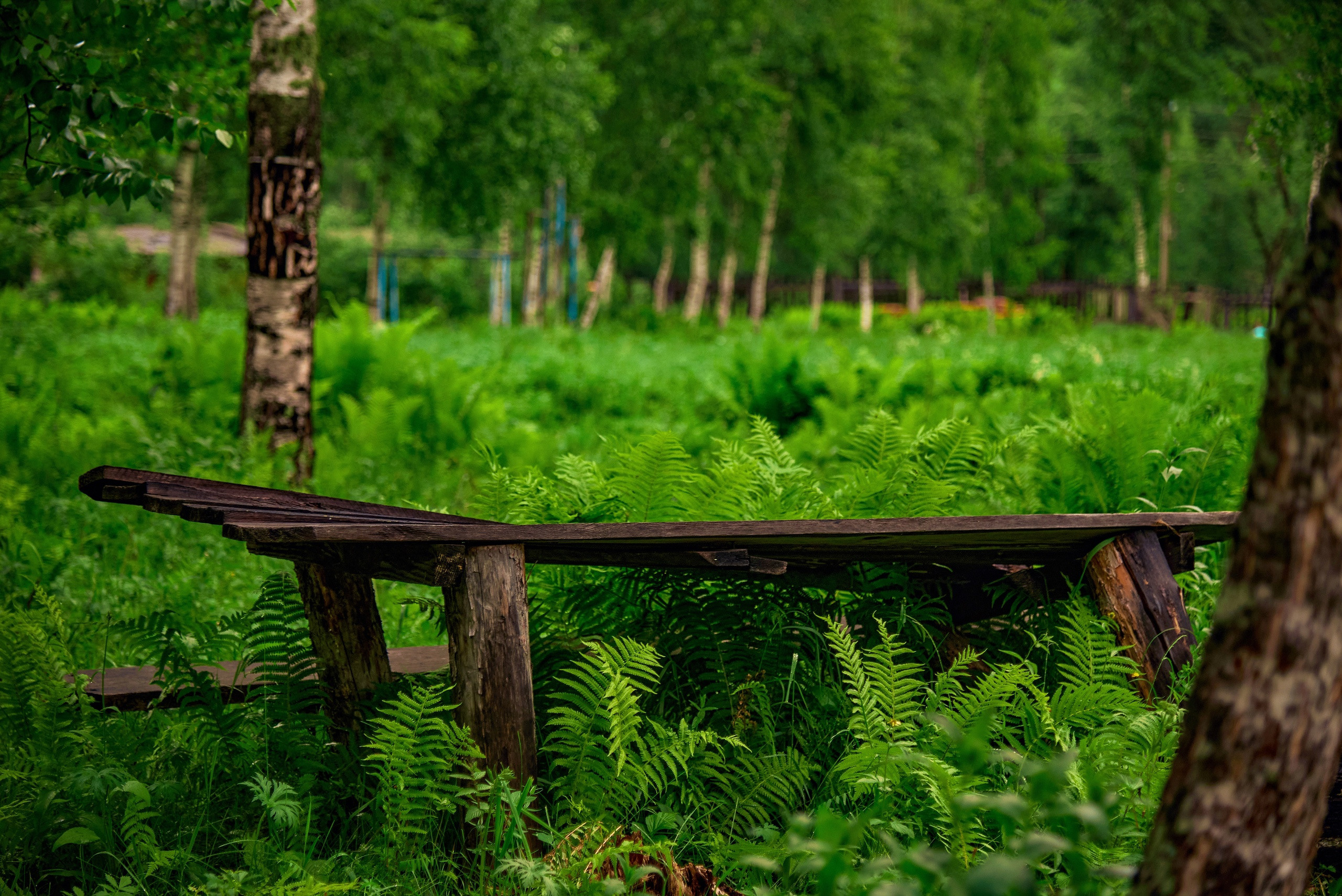 Пейзажный фотограф в Горном Алтае: съёмки природы и гор. Фотограф Опыт Качество Скорость Горный Алтай Барнаул