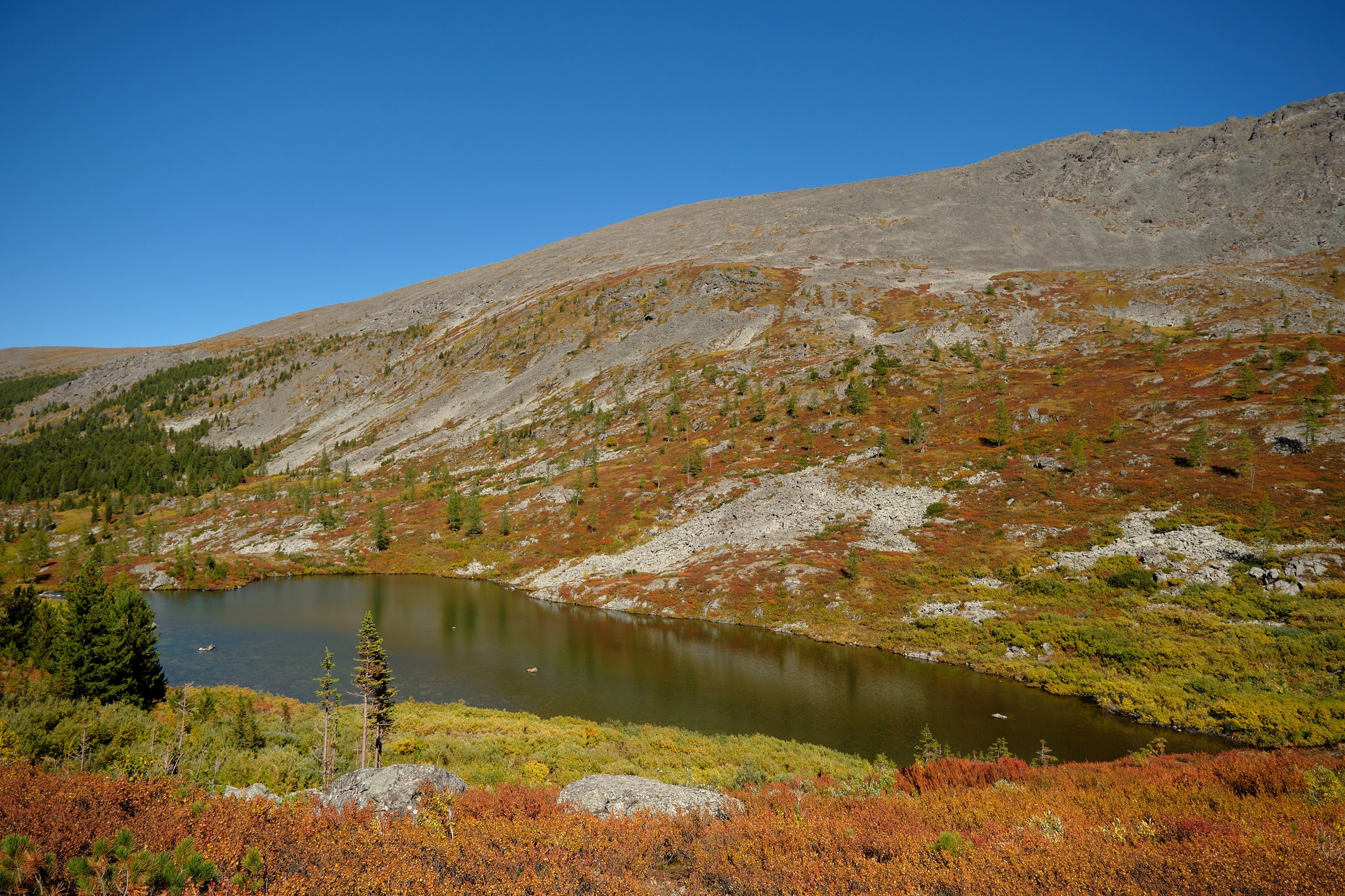 Пейзажный фотограф в Горном Алтае: съёмки природы и гор. Фотограф Опыт Качество Скорость Горный Алтай Барнаул