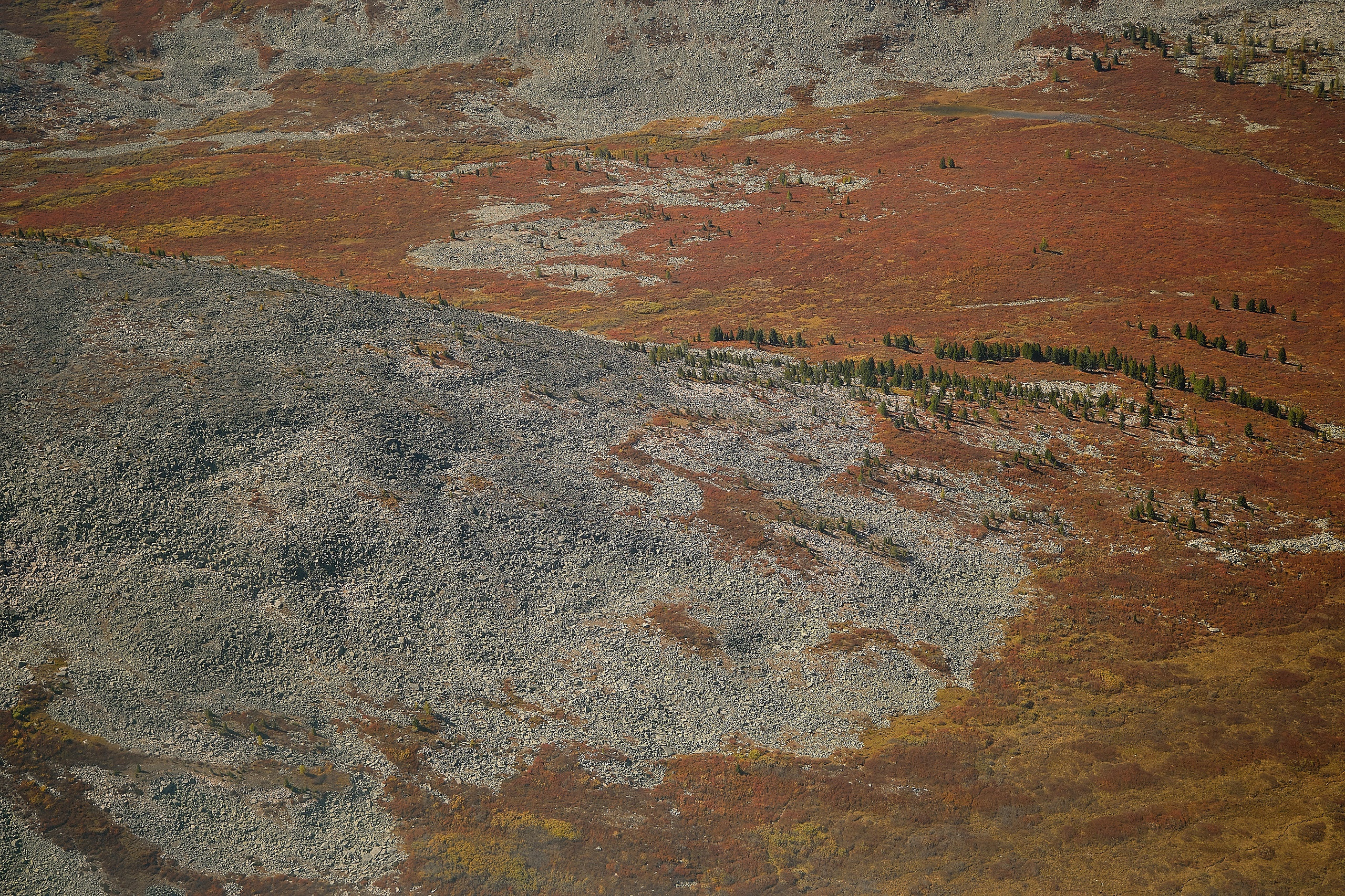 Пейзажный фотограф в Горном Алтае: съёмки природы и гор. Фотограф Опыт Качество Скорость Горный Алтай Барнаул