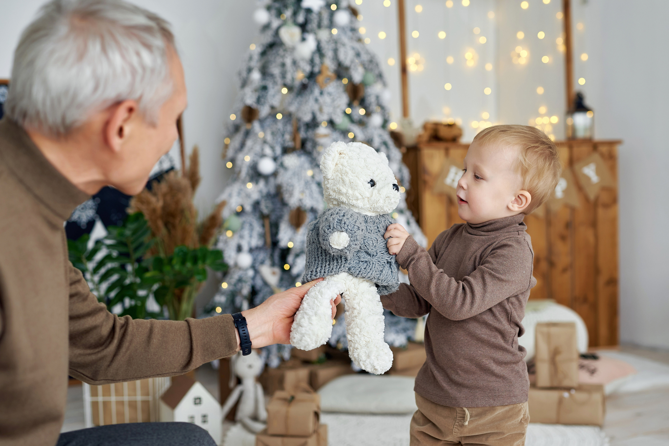 Алиса и семья. Новый год. Фотограф Опыт Качество Скорость Горный Алтай Барнаул