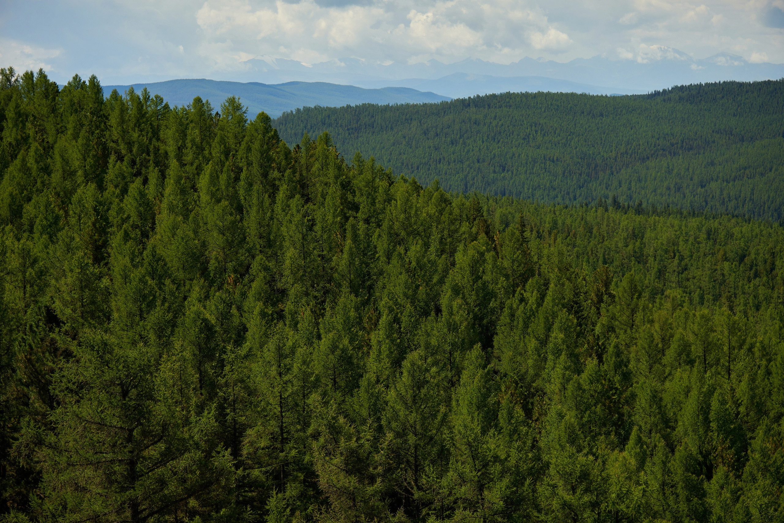 Пейзажный фотограф в Горном Алтае: съёмки природы и гор. Фотограф Опыт Качество Скорость Горный Алтай Барнаул
