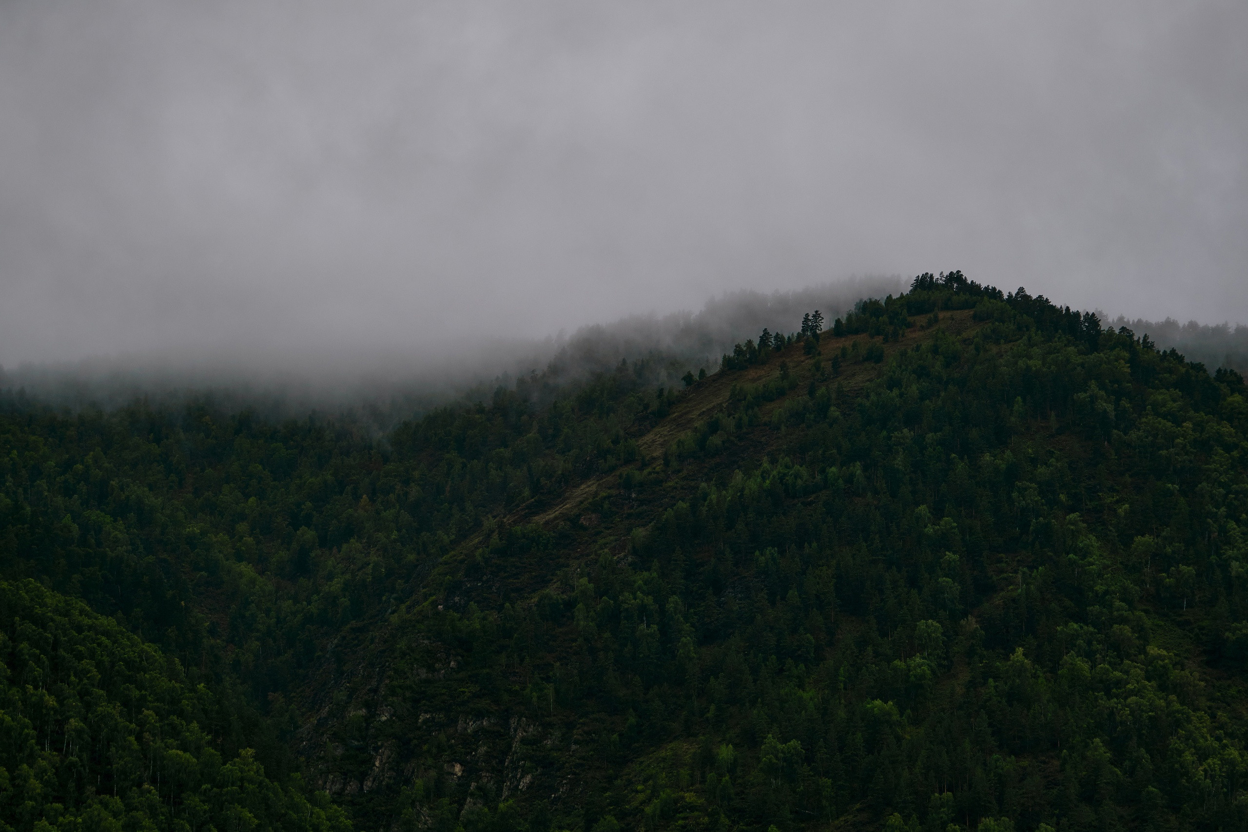 Пейзажный фотограф в Горном Алтае: съёмки природы и гор. Фотограф Опыт Качество Скорость Горный Алтай Барнаул