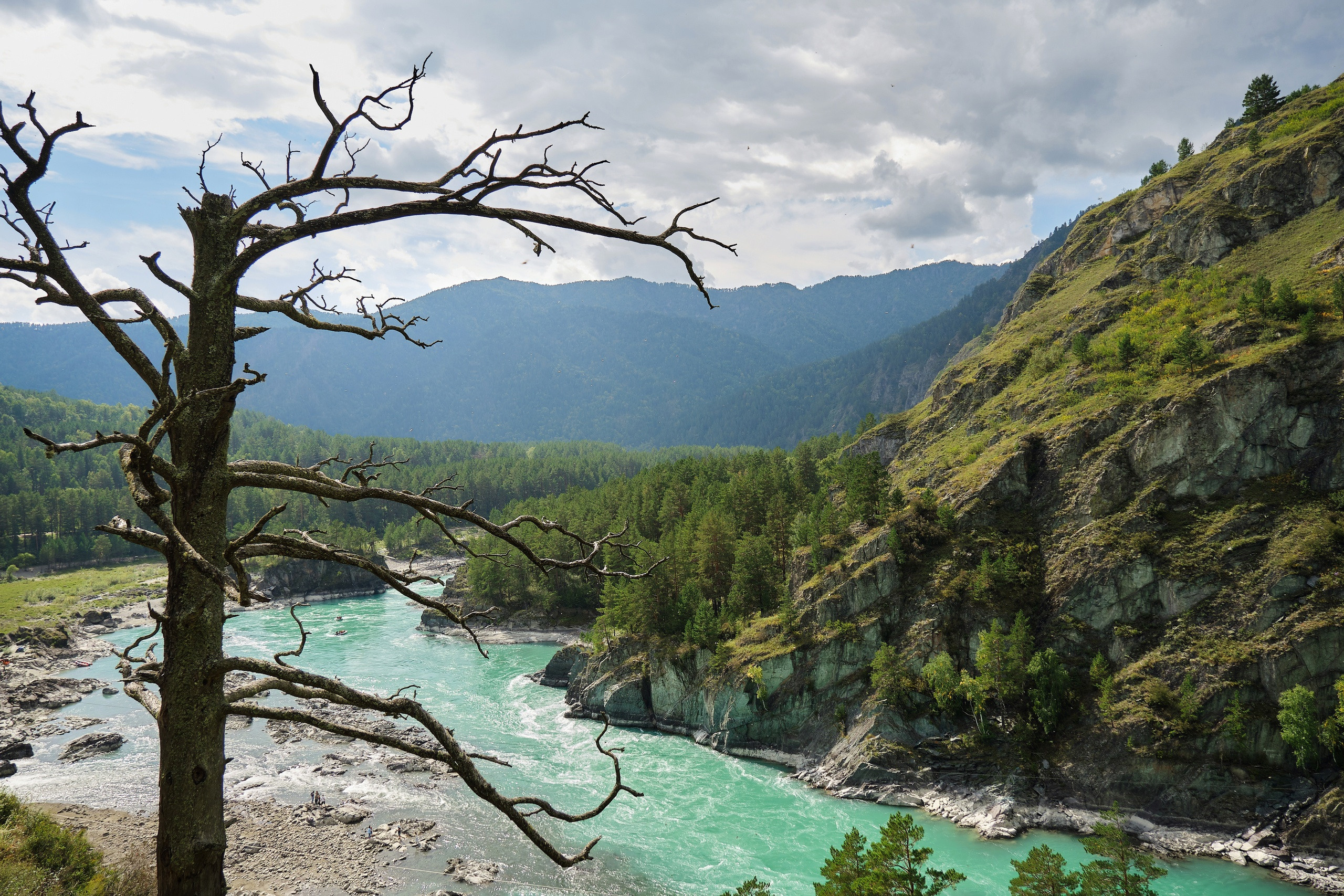Пейзажный фотограф в Горном Алтае: съёмки природы и гор. Фотограф Опыт Качество Скорость Горный Алтай Барнаул