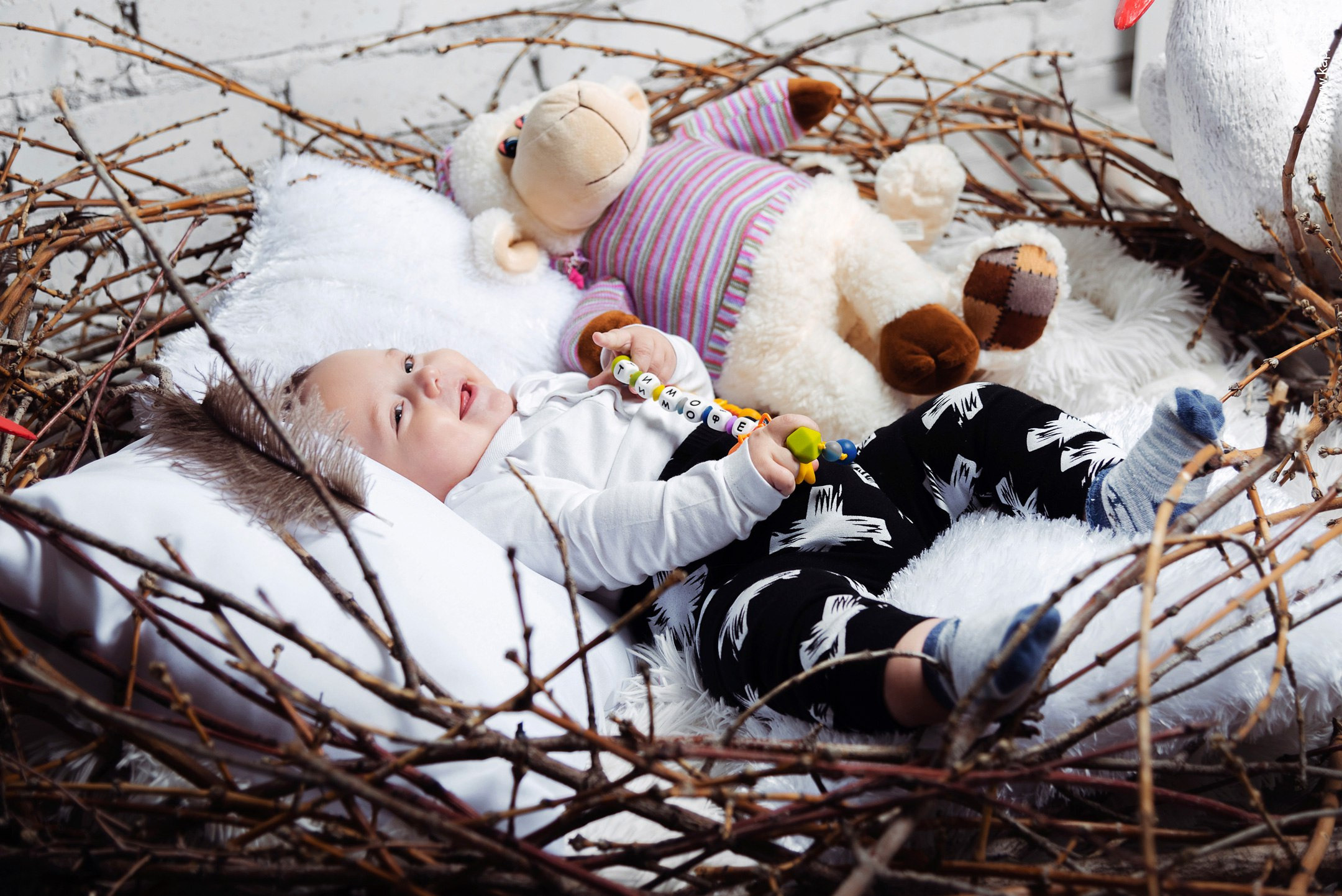 Семейный фотограф Барнаул фотограф для семьи Детский фотограф. Фотограф Опыт Качество Скорость Горный Алтай Барнаул