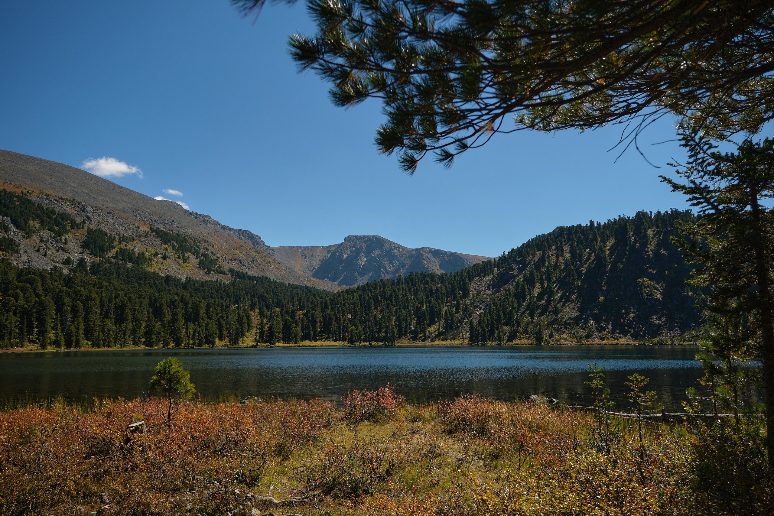 Пейзажный фотограф в Горном Алтае: съёмки природы и гор. Фотограф Опыт Качество Скорость Горный Алтай Барнаул