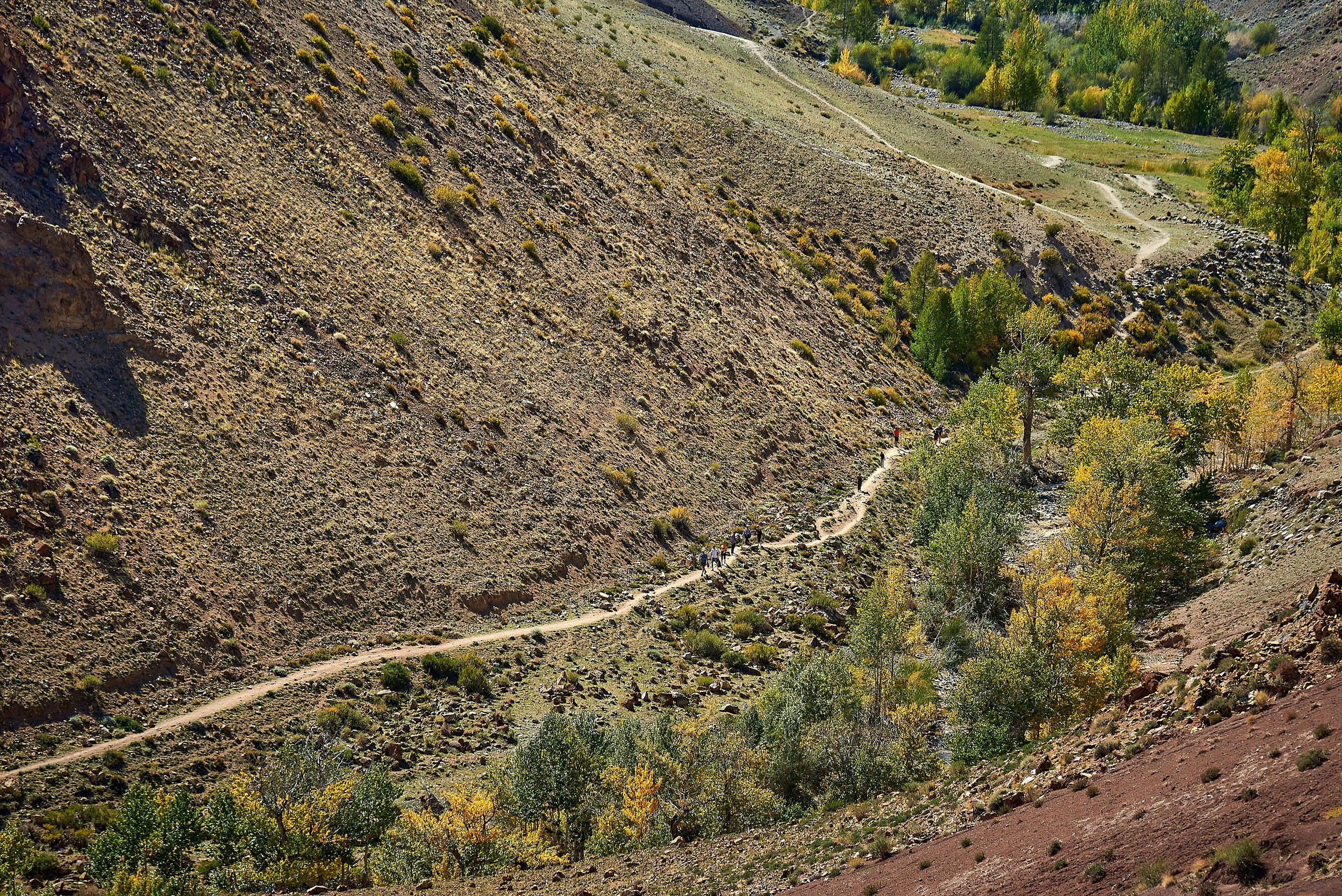 Пейзажный фотограф в Горном Алтае: съёмки природы и гор. Фотограф Опыт Качество Скорость Горный Алтай Барнаул
