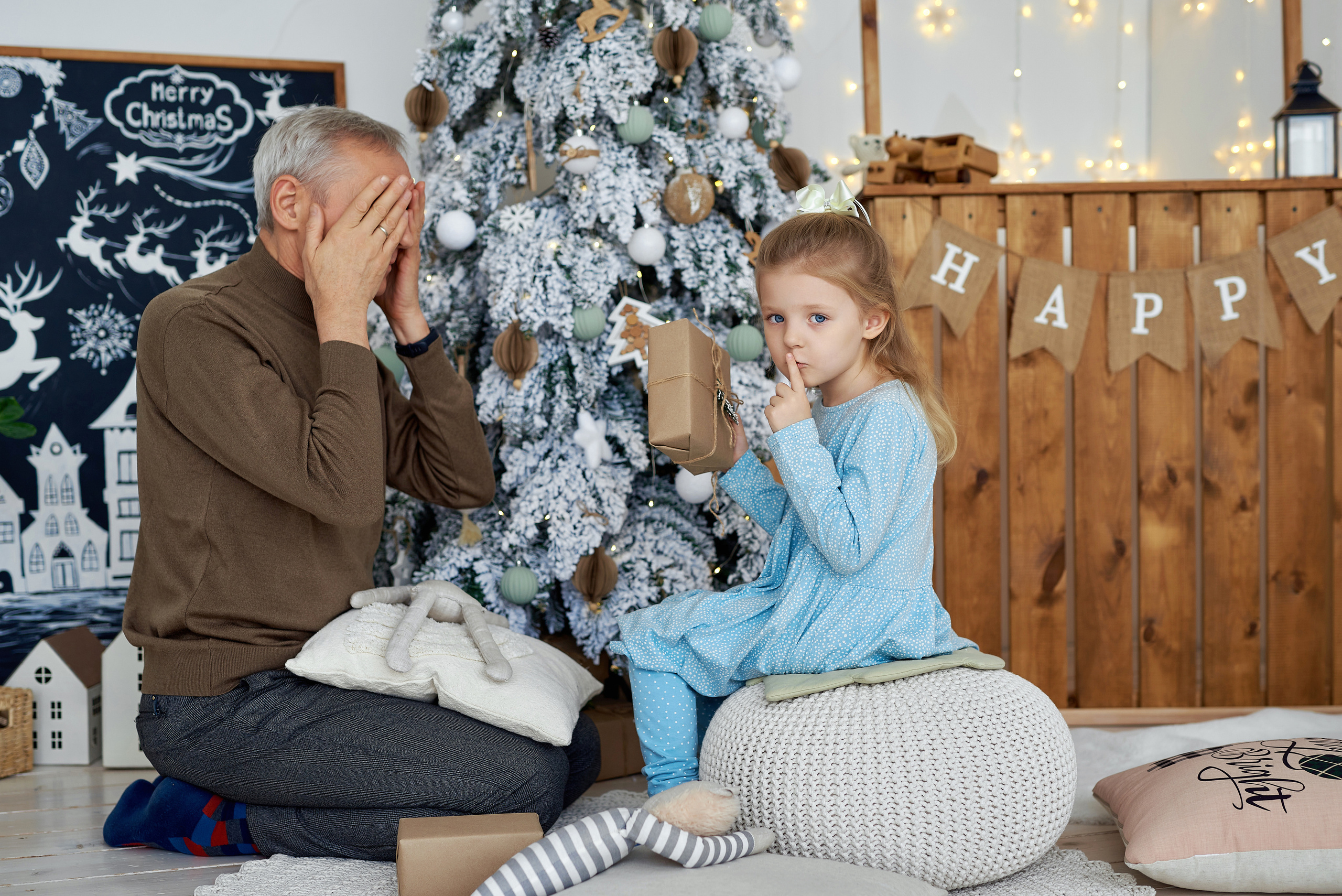 Алиса и семья. Новый год. Фотограф Опыт Качество Скорость Горный Алтай Барнаул