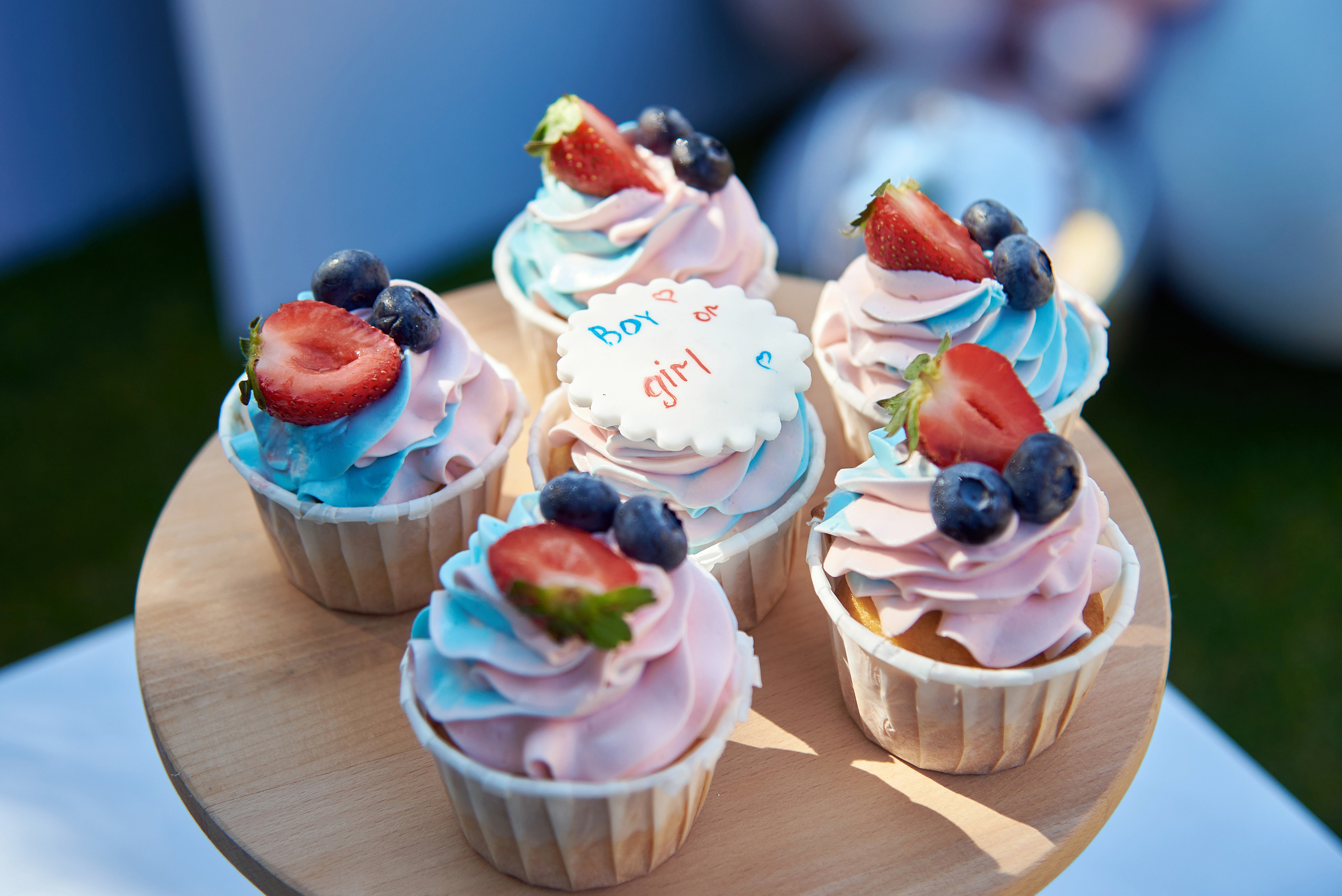 Евгений 1 годик. Фотограф Опыт Качество Скорость Горный Алтай Барнаул
