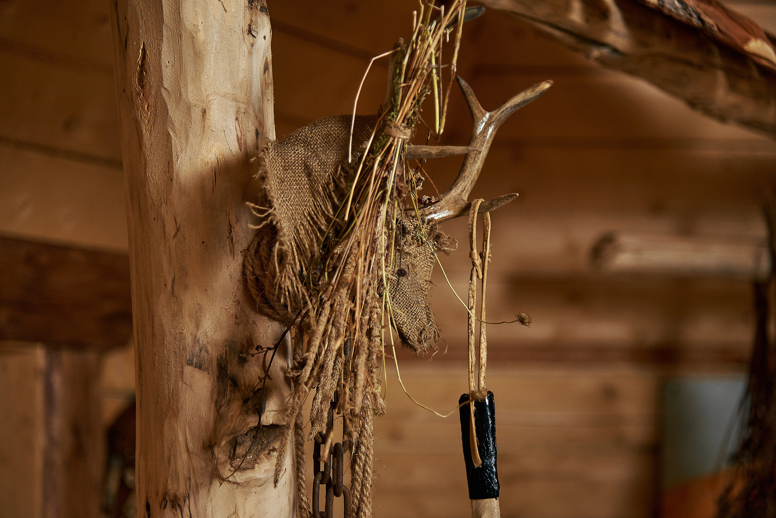 Кату Ярык Улаган База. Фотограф Опыт Качество Скорость Горный Алтай Барнаул