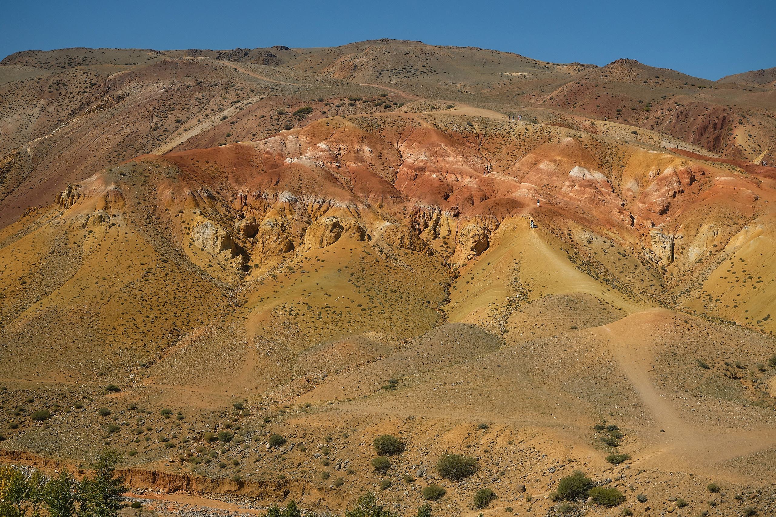 Пейзажный фотограф в Горном Алтае: съёмки природы и гор. Фотограф Опыт Качество Скорость Горный Алтай Барнаул