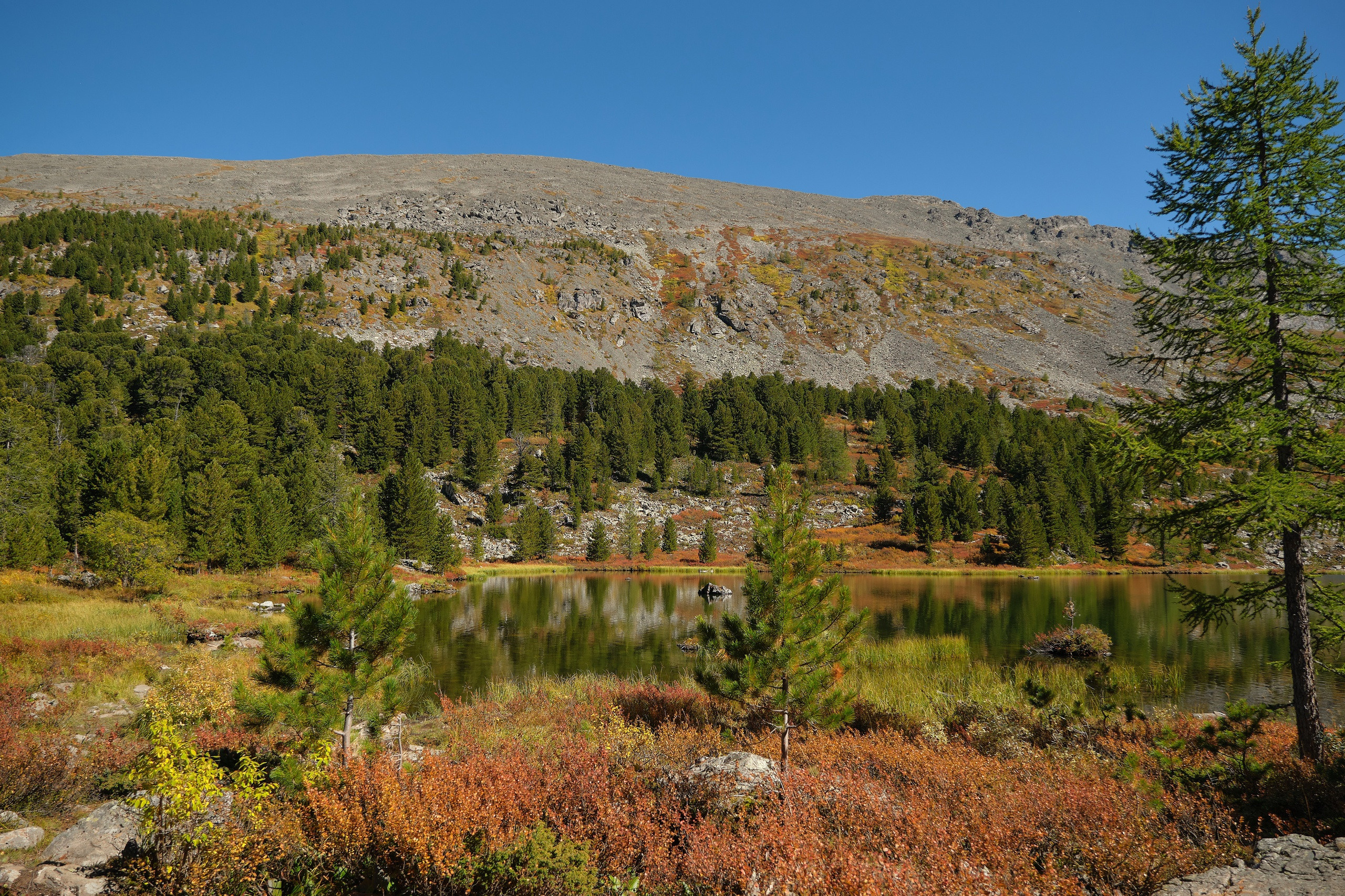 Пейзажный фотограф в Горном Алтае: съёмки природы и гор. Фотограф Опыт Качество Скорость Горный Алтай Барнаул